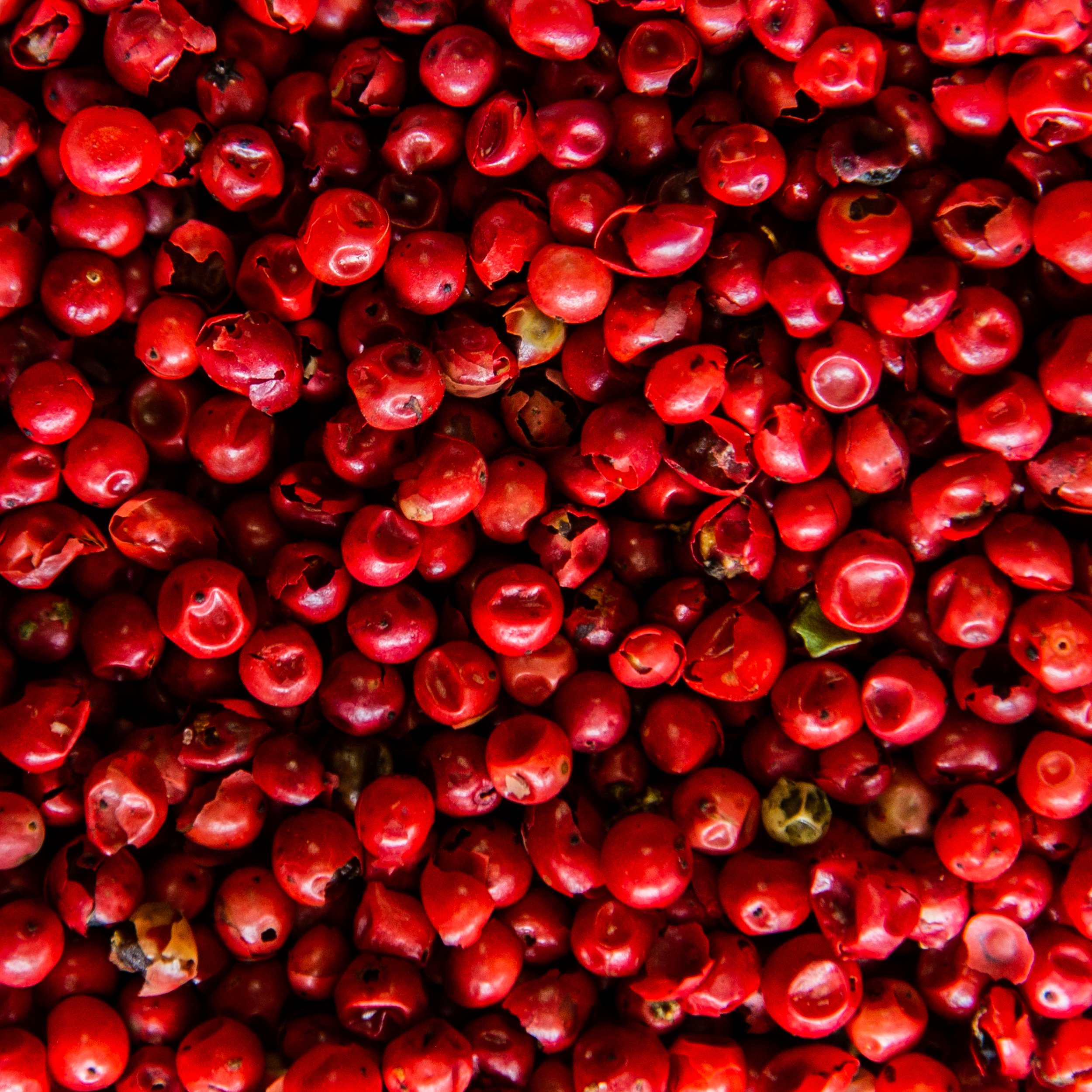 Spice-of-Life-Spices-and-Herbs-Peppercorn-Pink.jpg