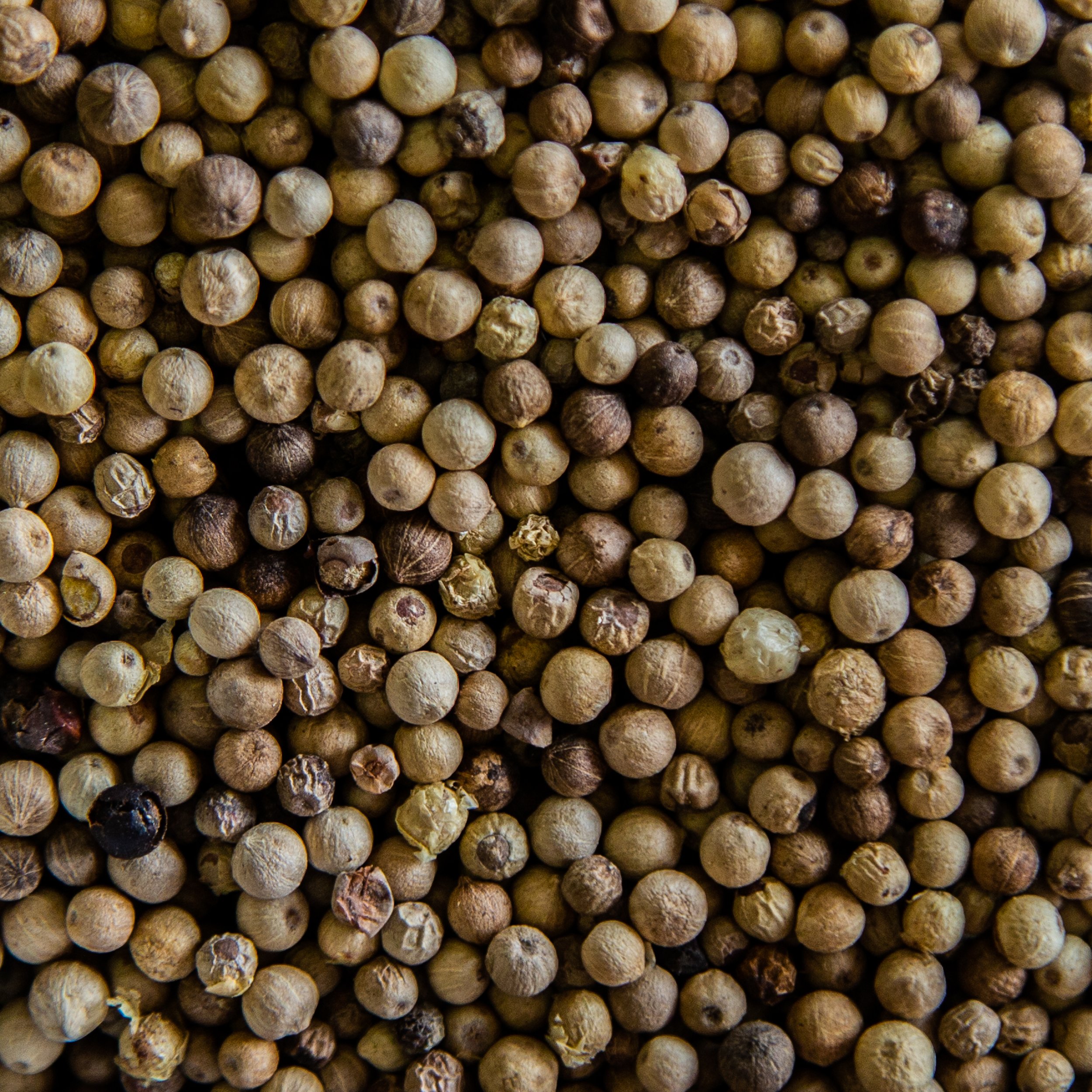 Spice-of-Life-Spices-and-Herbs-Peppercorn-White.jpg