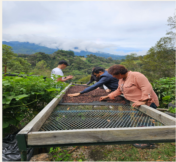 SPRING EQUINOX FOCUS March 18–22, 2027 : Mindfulness Retreat in the mountains of Panama