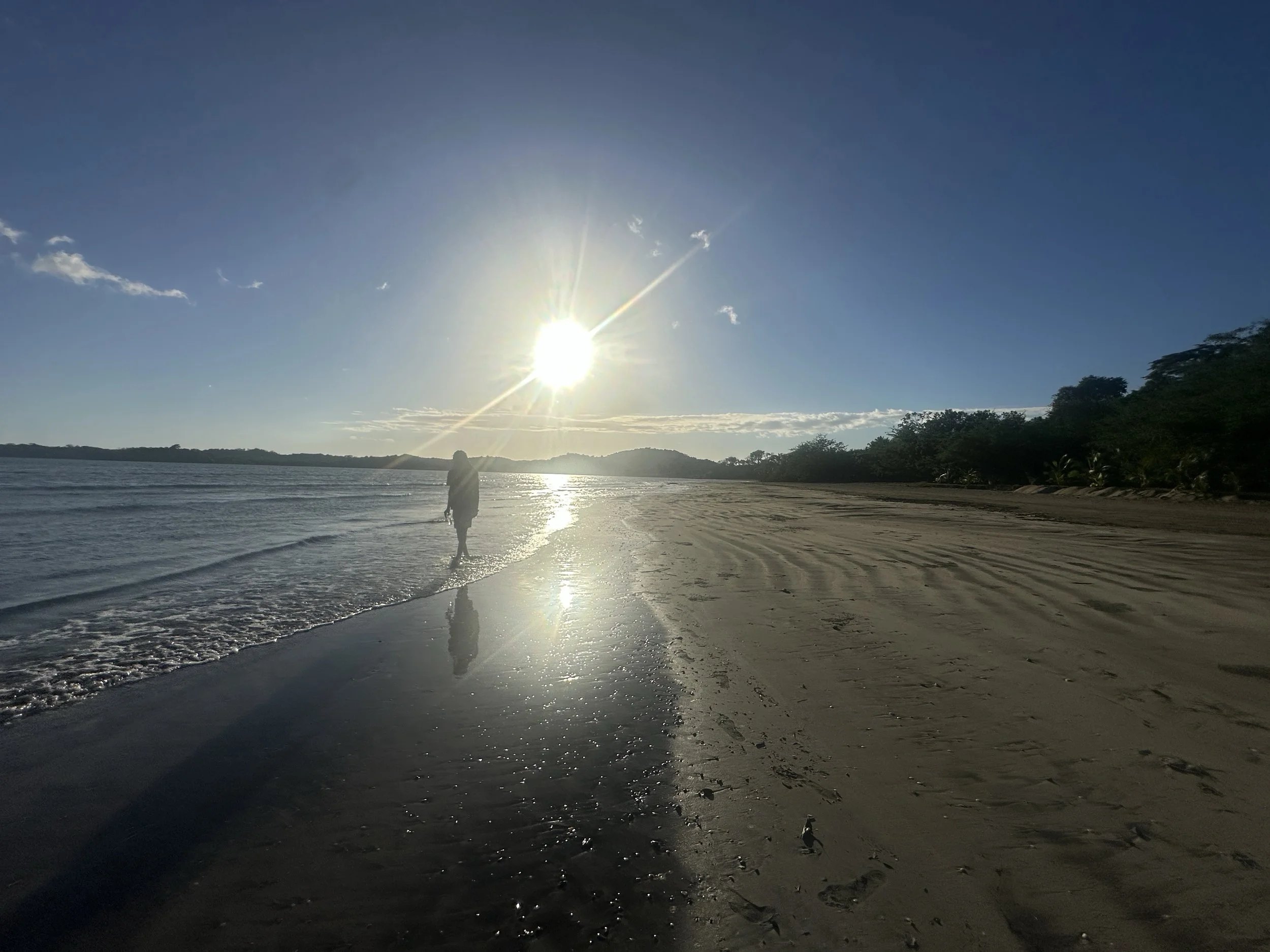 A person walking along a beach at sunset, with the sun low in the sky and trees on the shoreline.