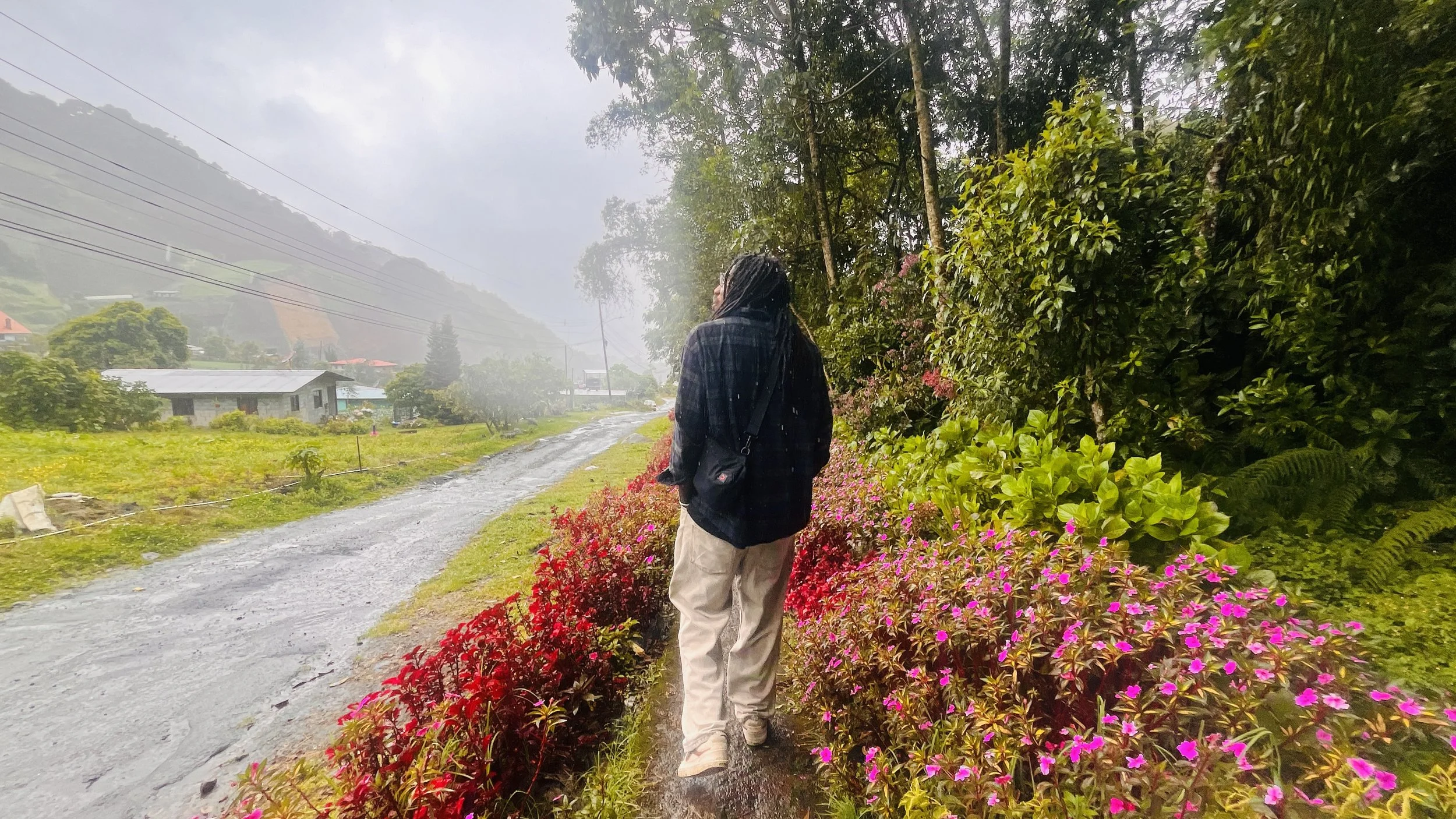 A person walking along a muddy path next to vibrant pink flowers and green bushes in a rural area during a rainy day with overcast skies.