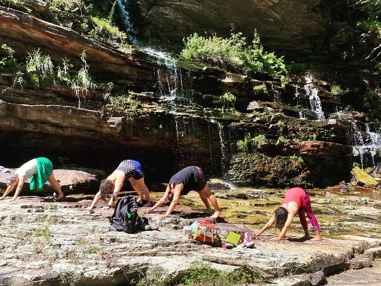 3BF48F67-A6F3-48ED-813A-A495D13389BB 2.jpg