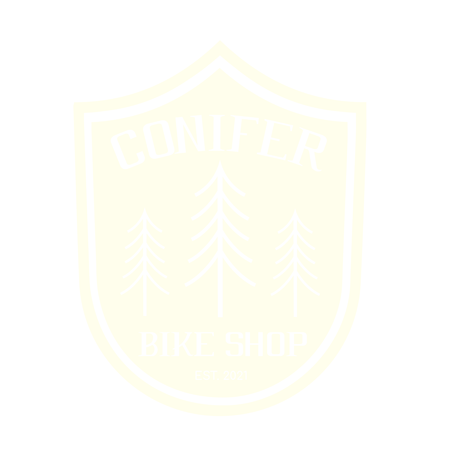 Bicycle Repair, Sales and Service in Conifer, CO Conifer Bike Shop