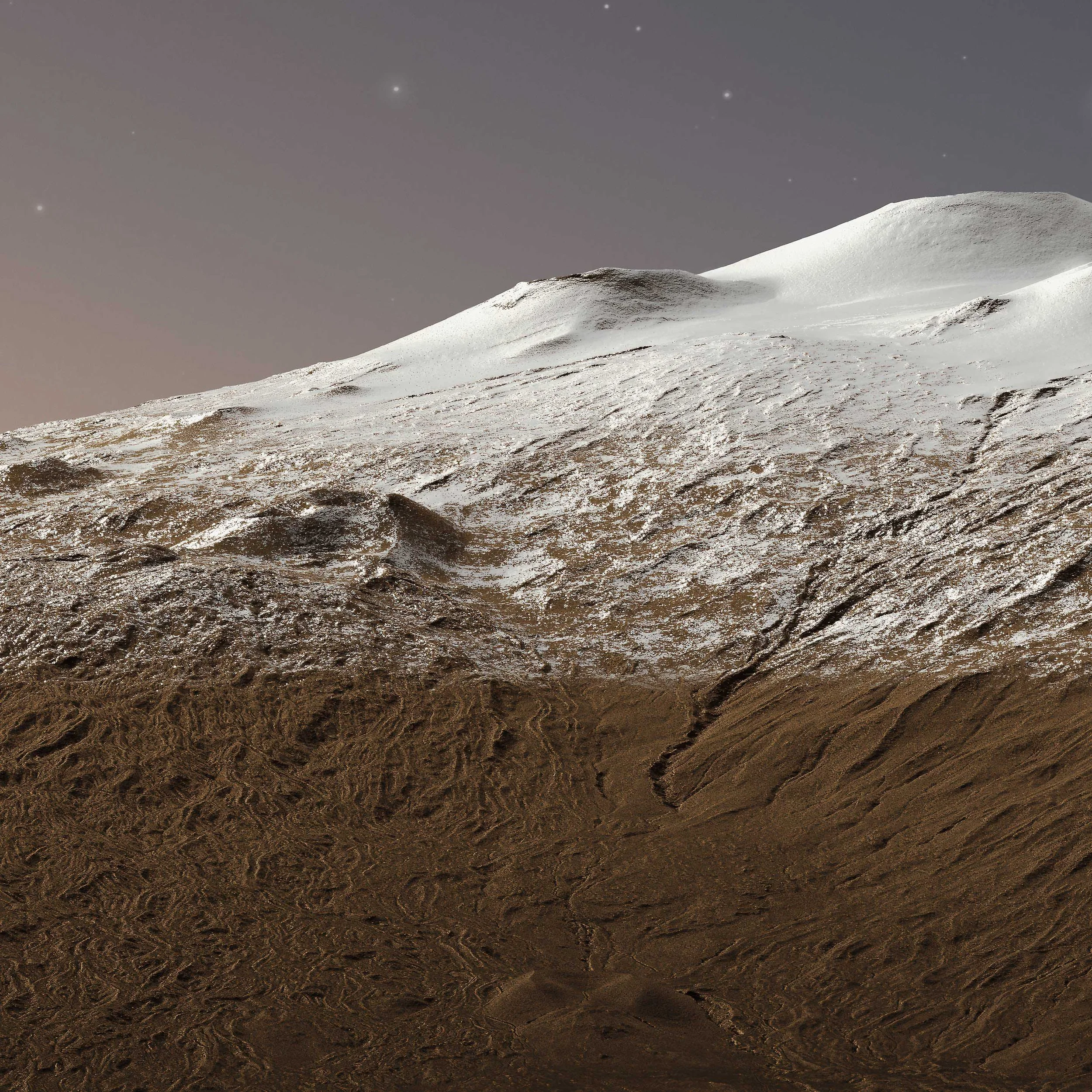 In My Dreams In Am On A Mountain - Digital archival print on canvas - 30x90" - detail