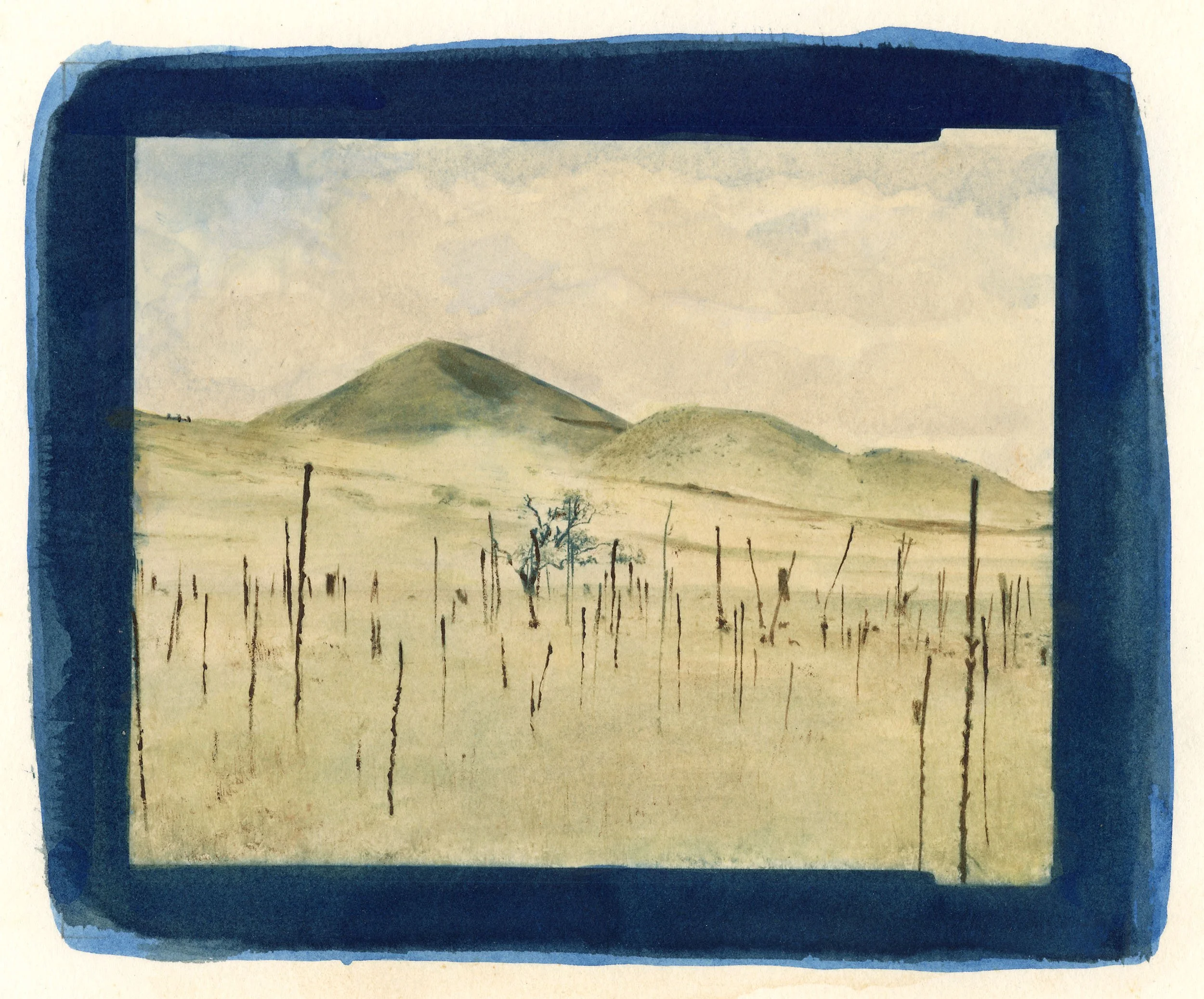 1988 Hand Painted and Toned Cyanotype