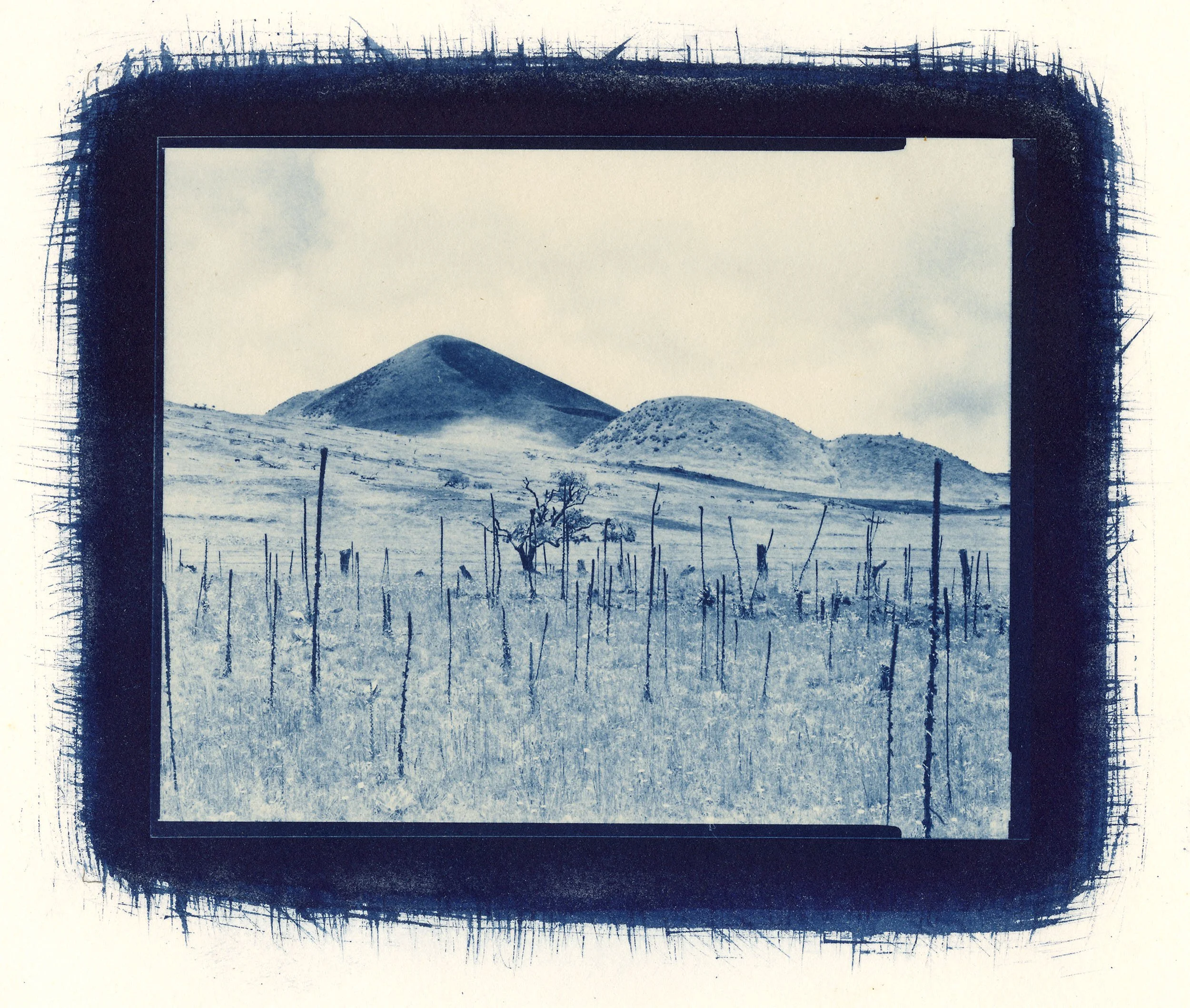 1988 Cyanotype