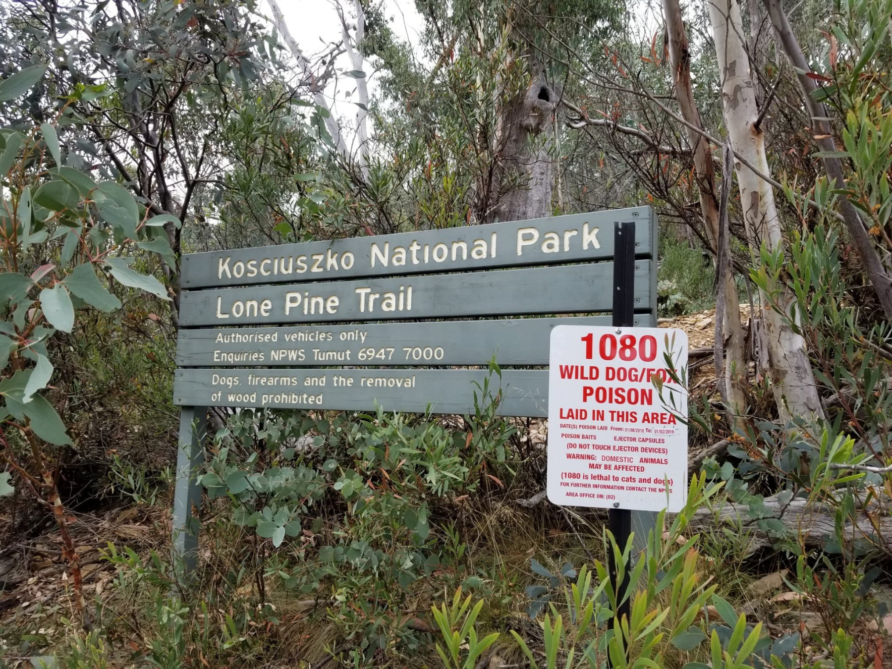 Coalition Against 1080 Poison evidence photograph