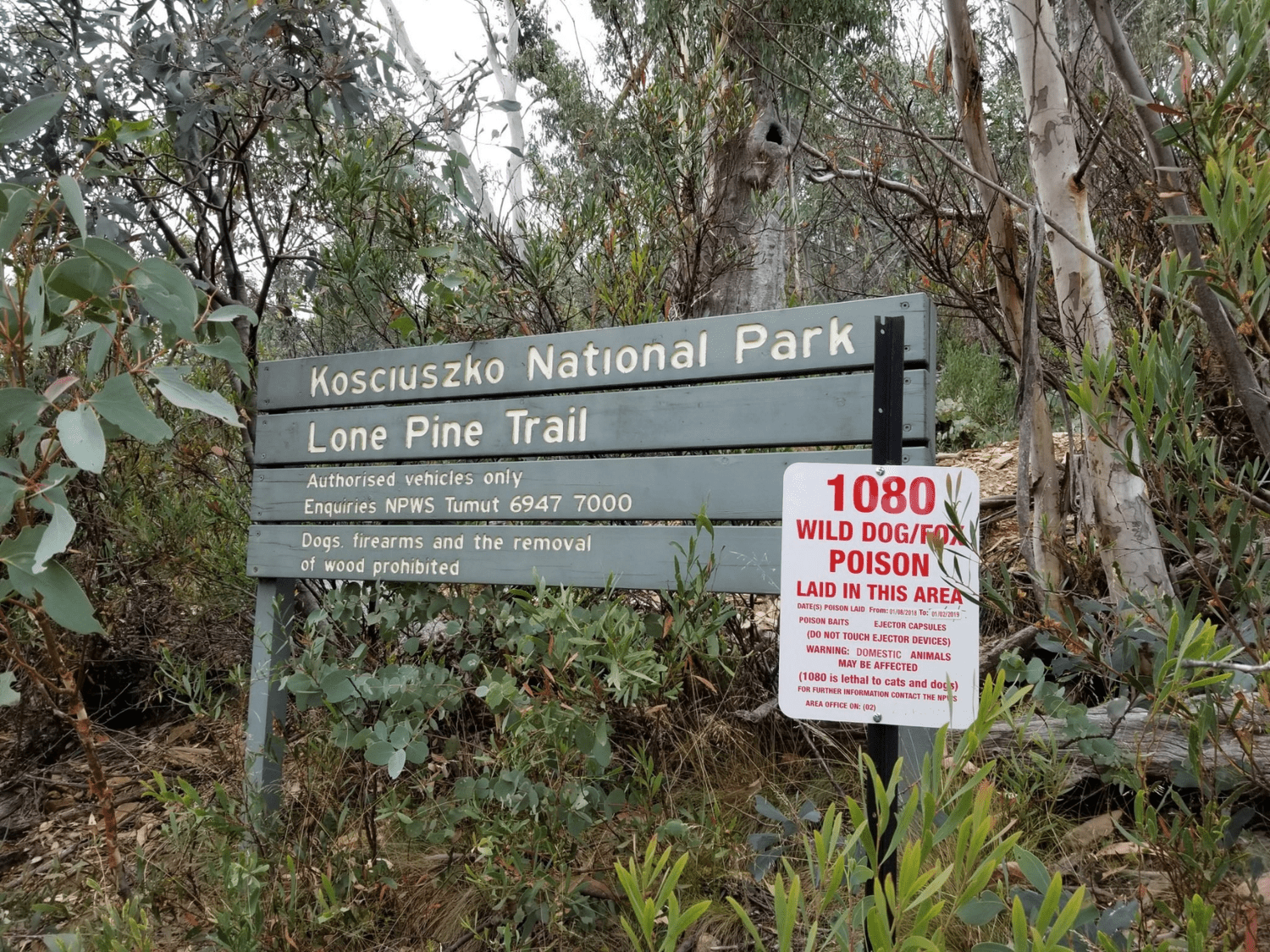 1080 warning signage in the Kosciuszko region