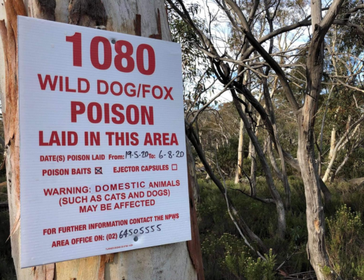 Close-up of a 1080 poison warning sign