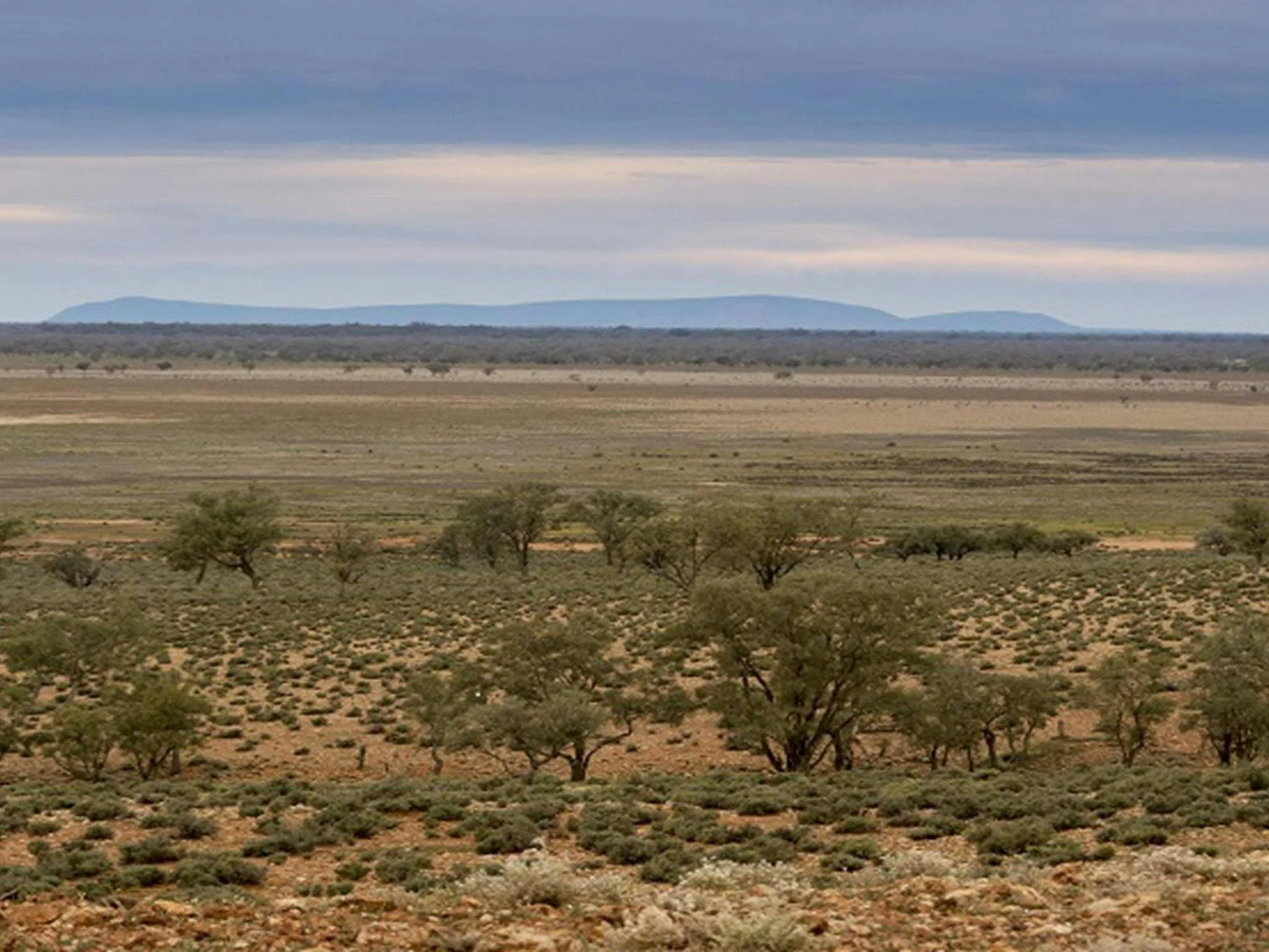 Toorale State Conservation Area