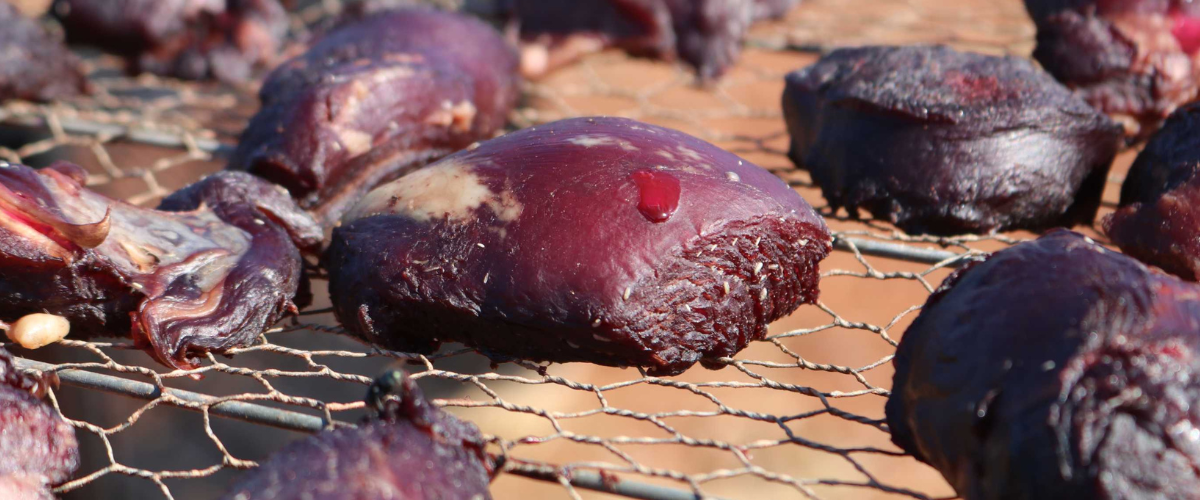 Secondary Poisoning Persists