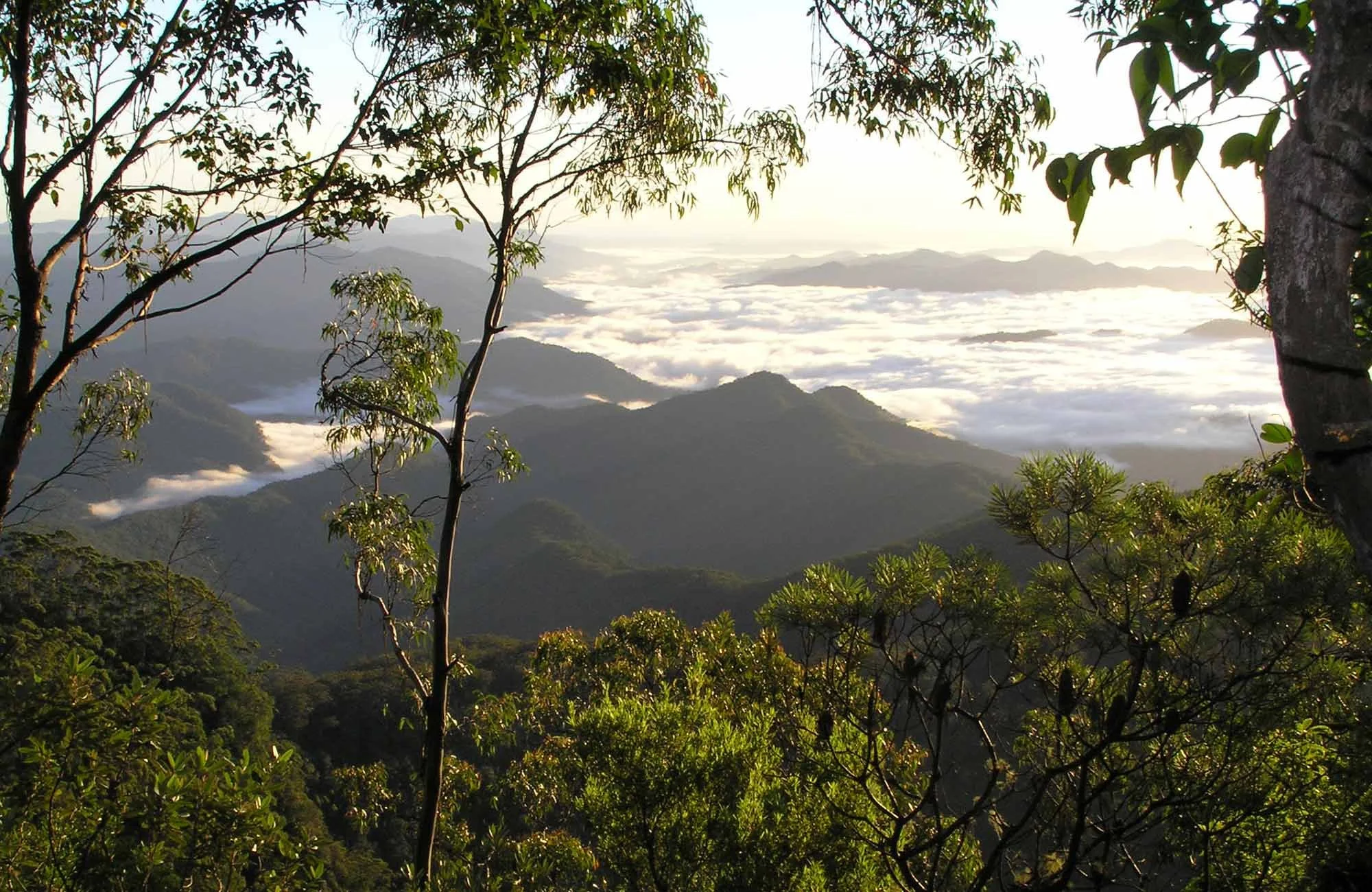 Mount Seaview Nature Reserve