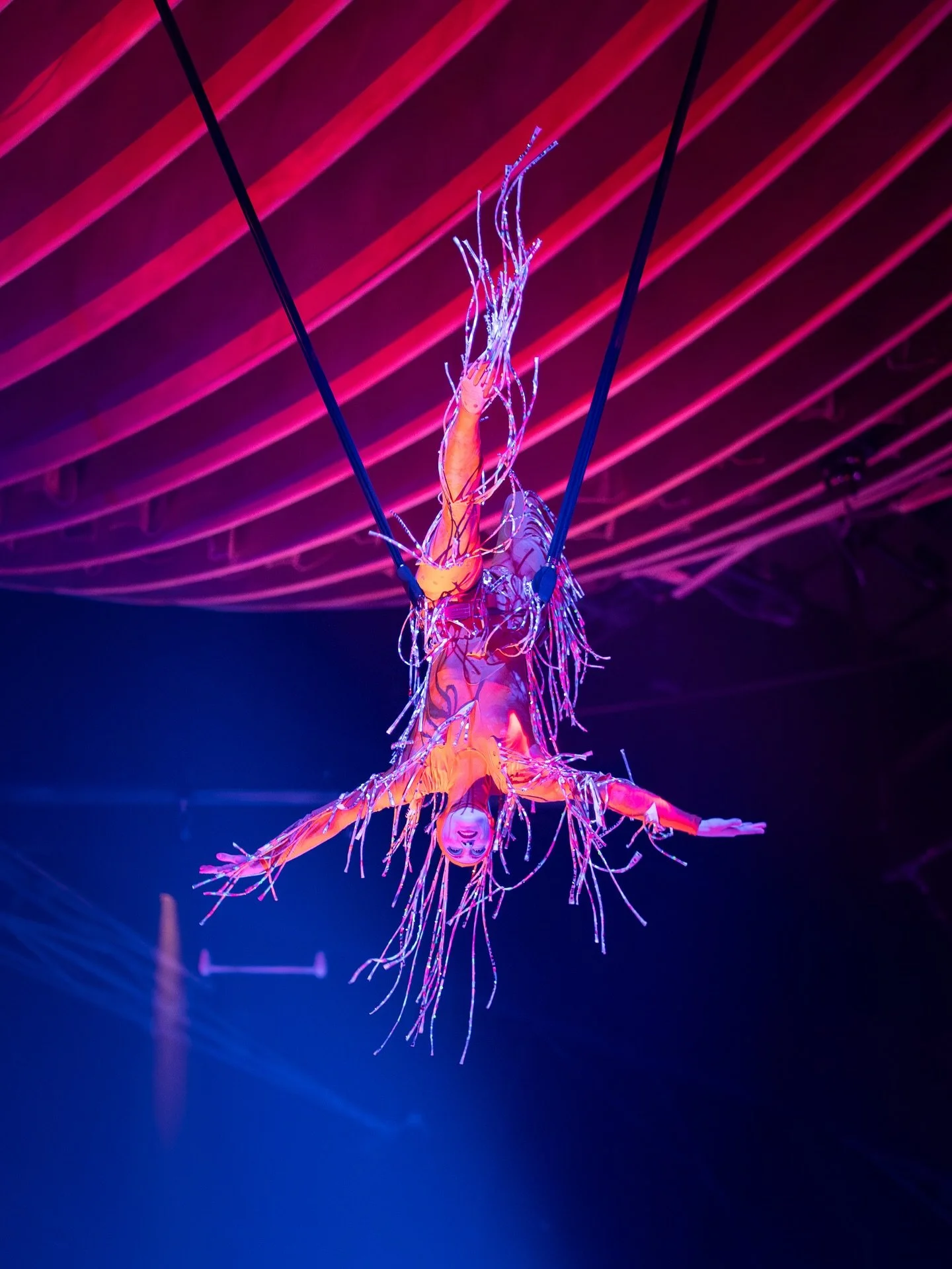 Rylie doing her thing 😎 

#eventphotography #mystere #sonya7iii #acrobatics
