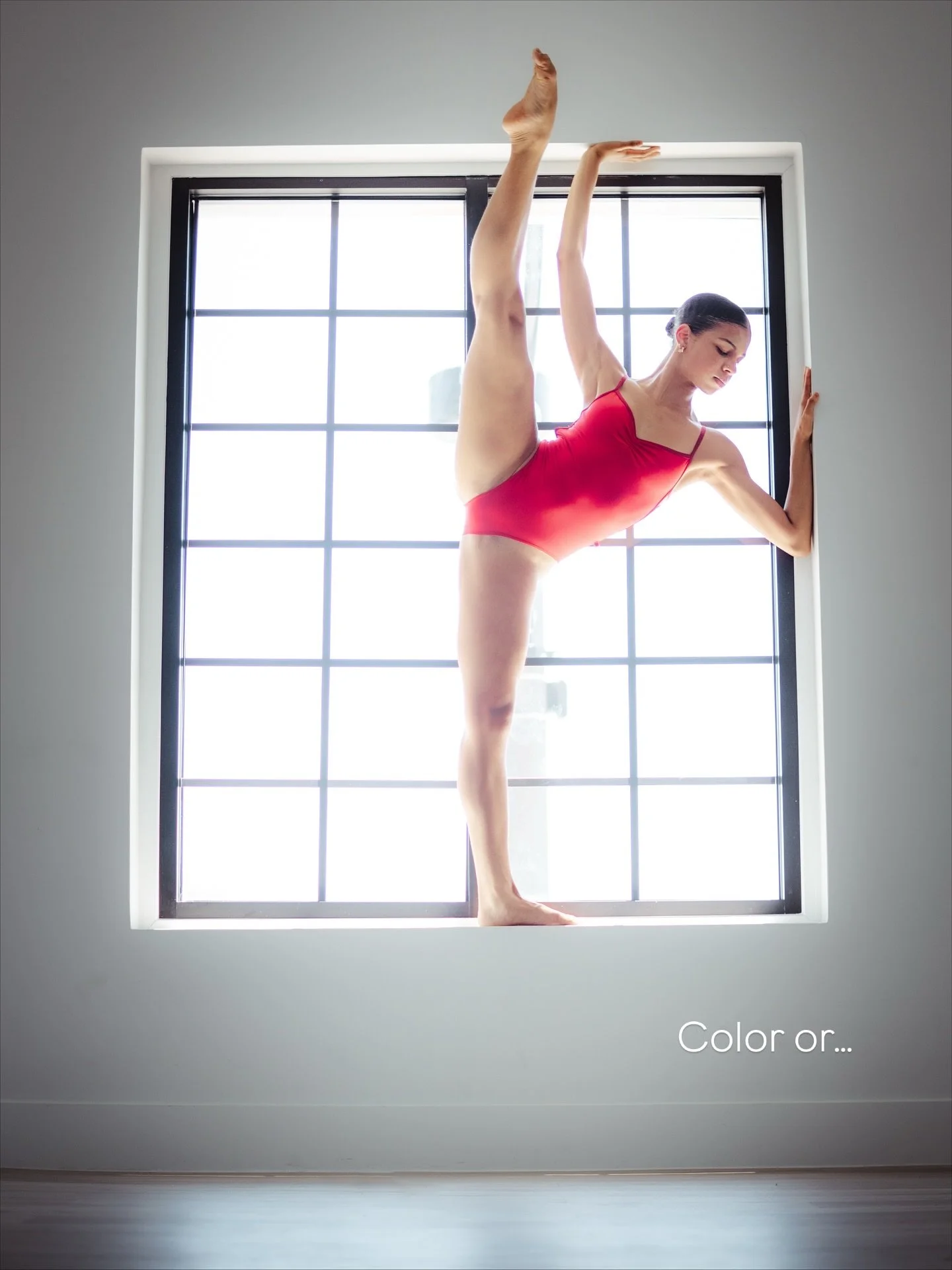 Which one is your favorite? 

Model: @nariah.danielle 
Photographer: @its.ivanvargas 
Studio: @thewhitespacelv 

#dancerphotography #dancerofinstagram #ballerinasofinstagram #leotards #studiophotoshoot #lasvegasphotographer #dancephotography
