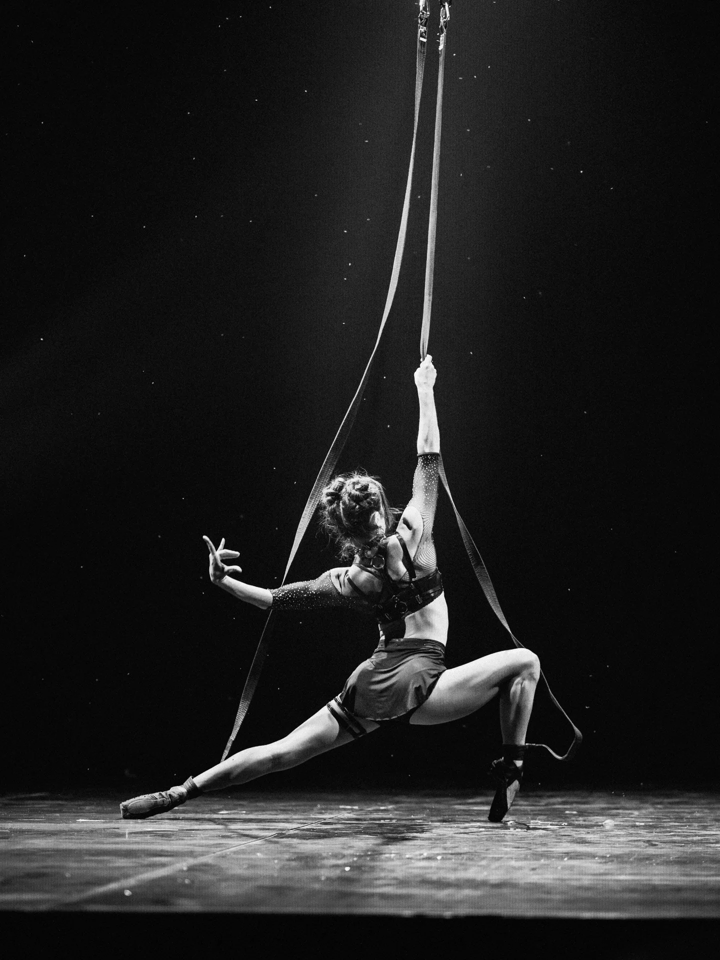 Two disciplines, one artist

Mixing aerial and ballet 🩰 

#ballet #pointeshoes #aerialist #bnw #aerialstraps