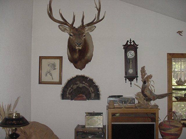 DSC01764.JPG