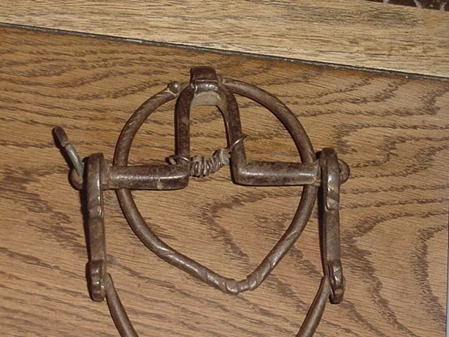 DSC01714.JPG