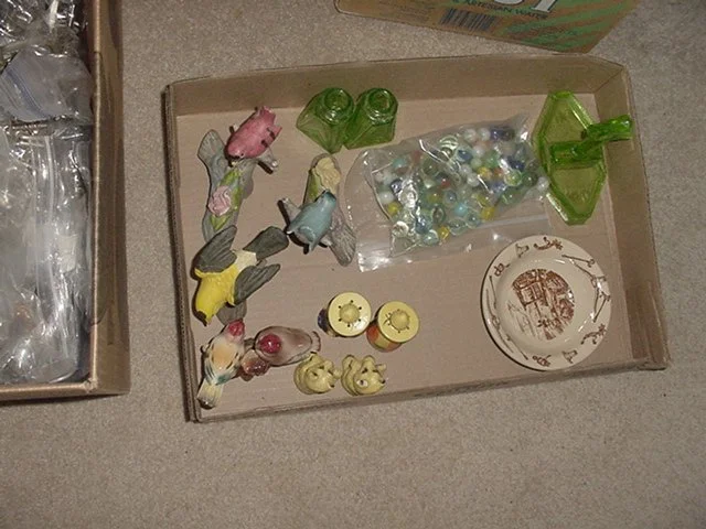 DSC01713c.JPG