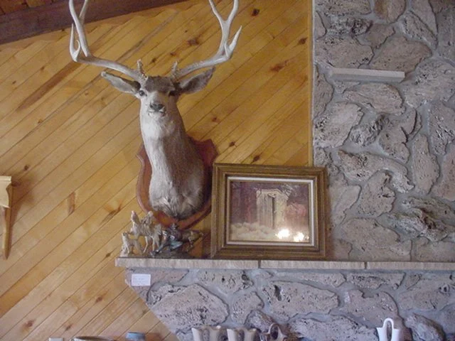 DSC01701.JPG