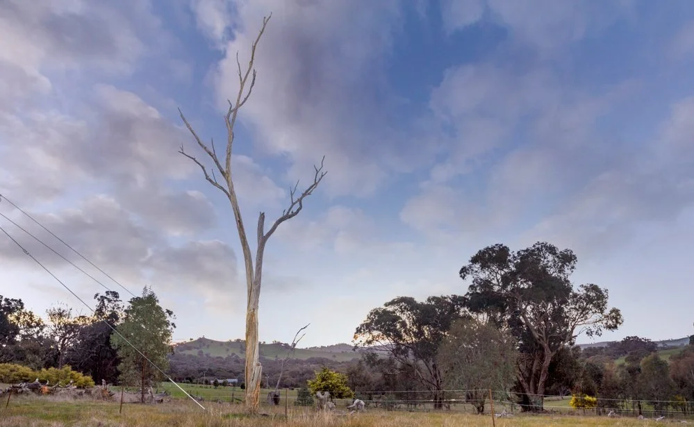 Binalong Real Estate