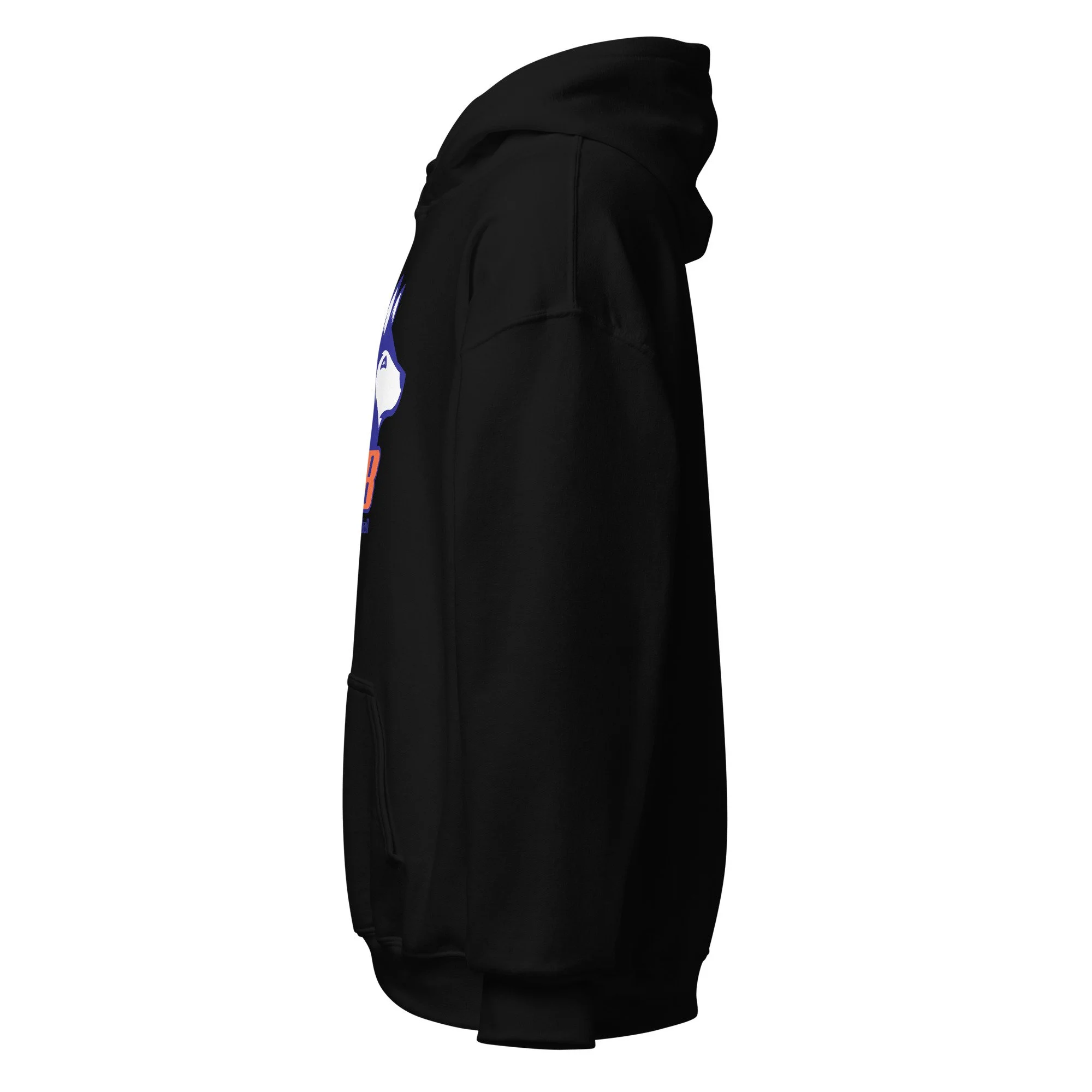 unisex-heavy-blend-hoodie-black-left-68640444a354e.jpg