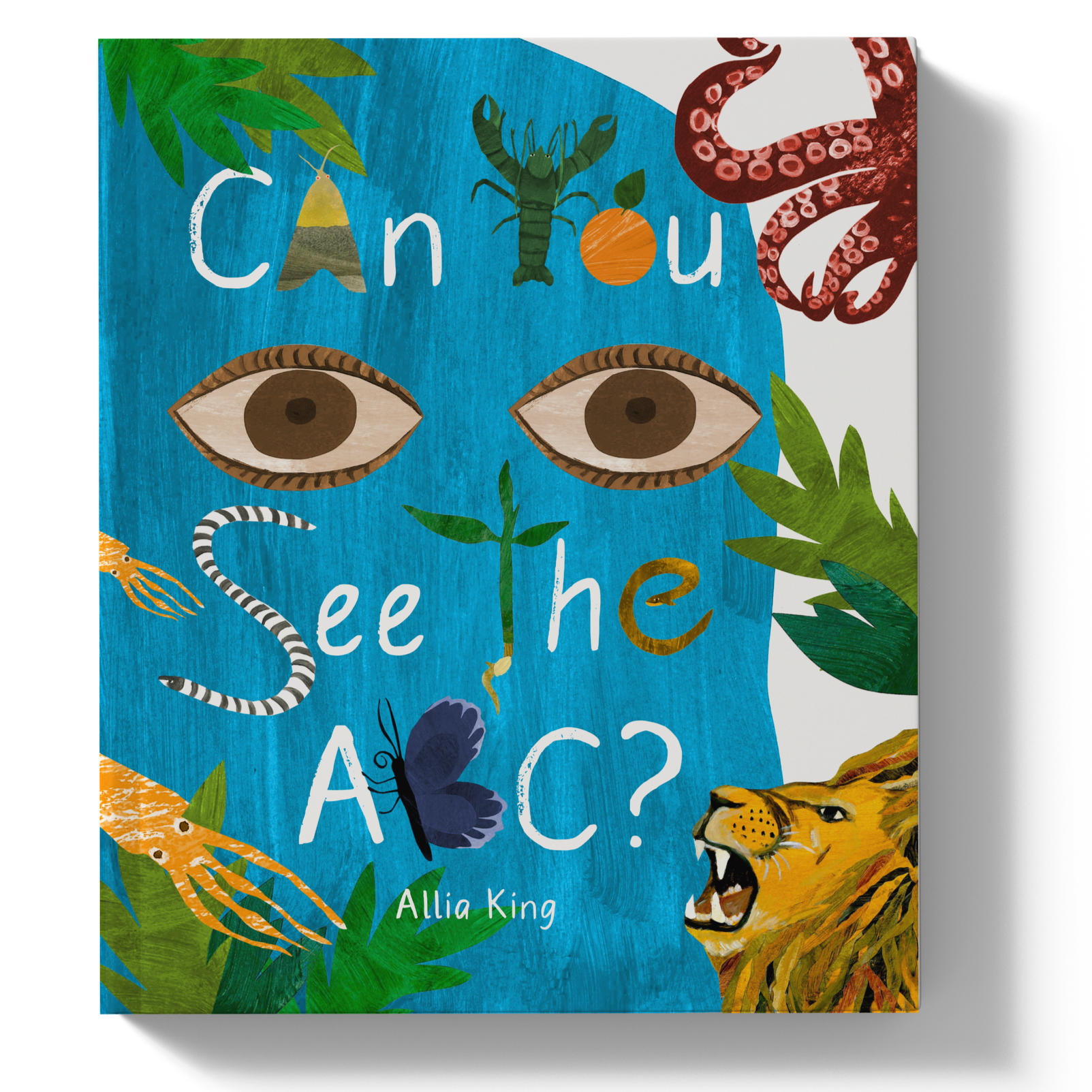 Children's Book: Can You See the ABC?