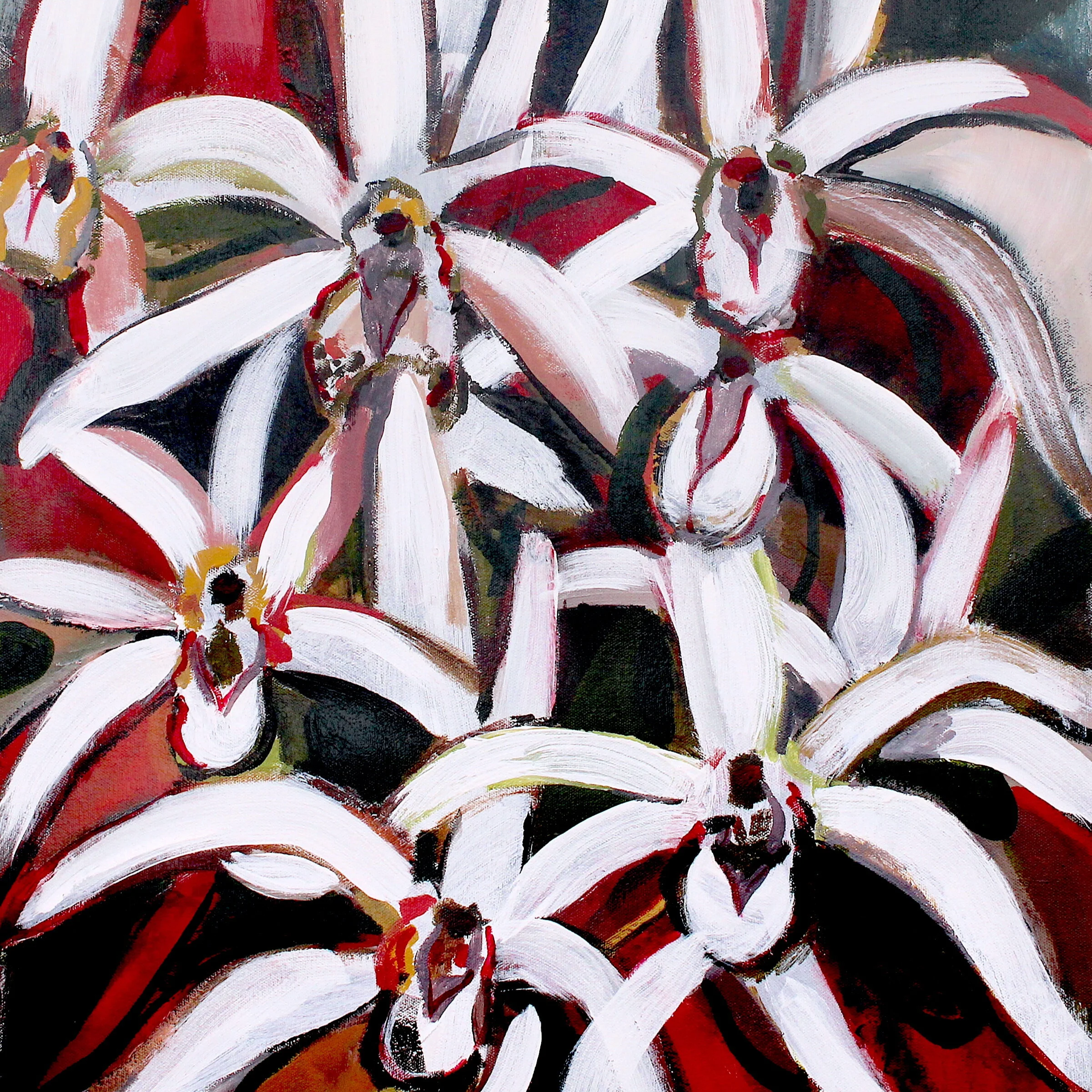 White Orchids