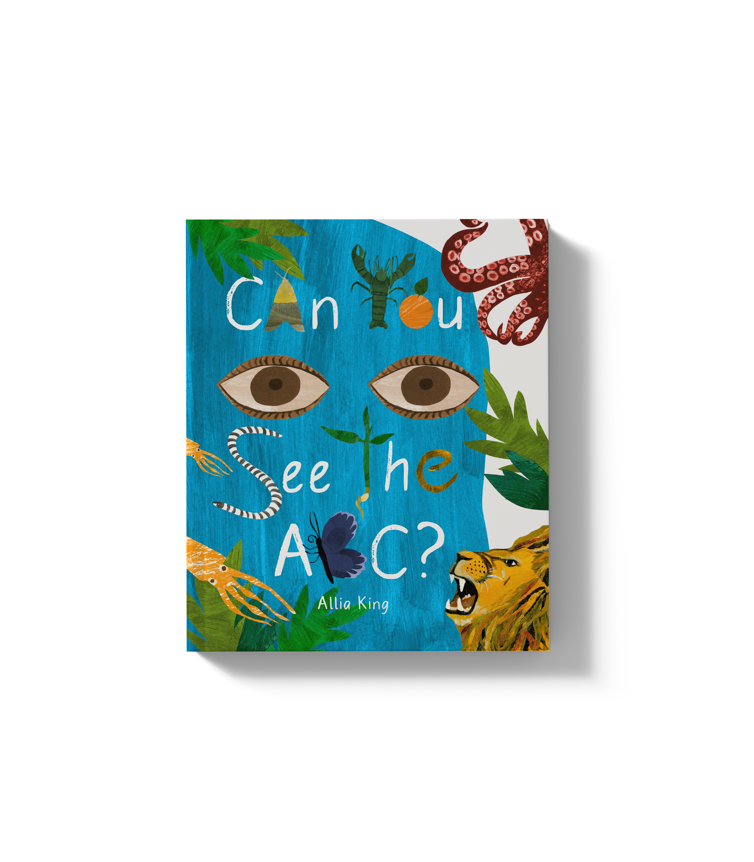 Children's Picture Book - Can you see the ABC?