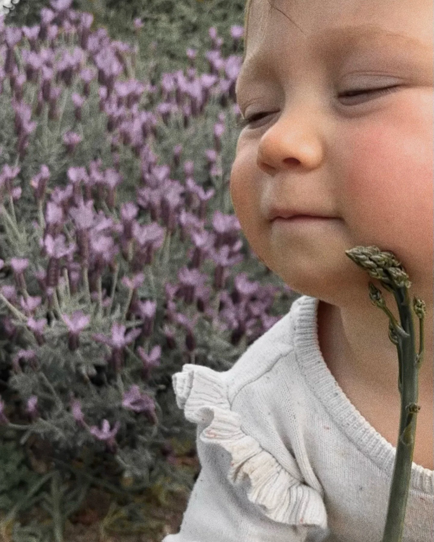 some little snaps from lately 🤍

1 - 2. Juni hugging her asparagus &amp; talking to mr. Bee the other day deserved a permanent spot on the feed 🐝

3. Birth herbies for a blooming mama

4. Pressed flower cards with my little one for some birthdays

