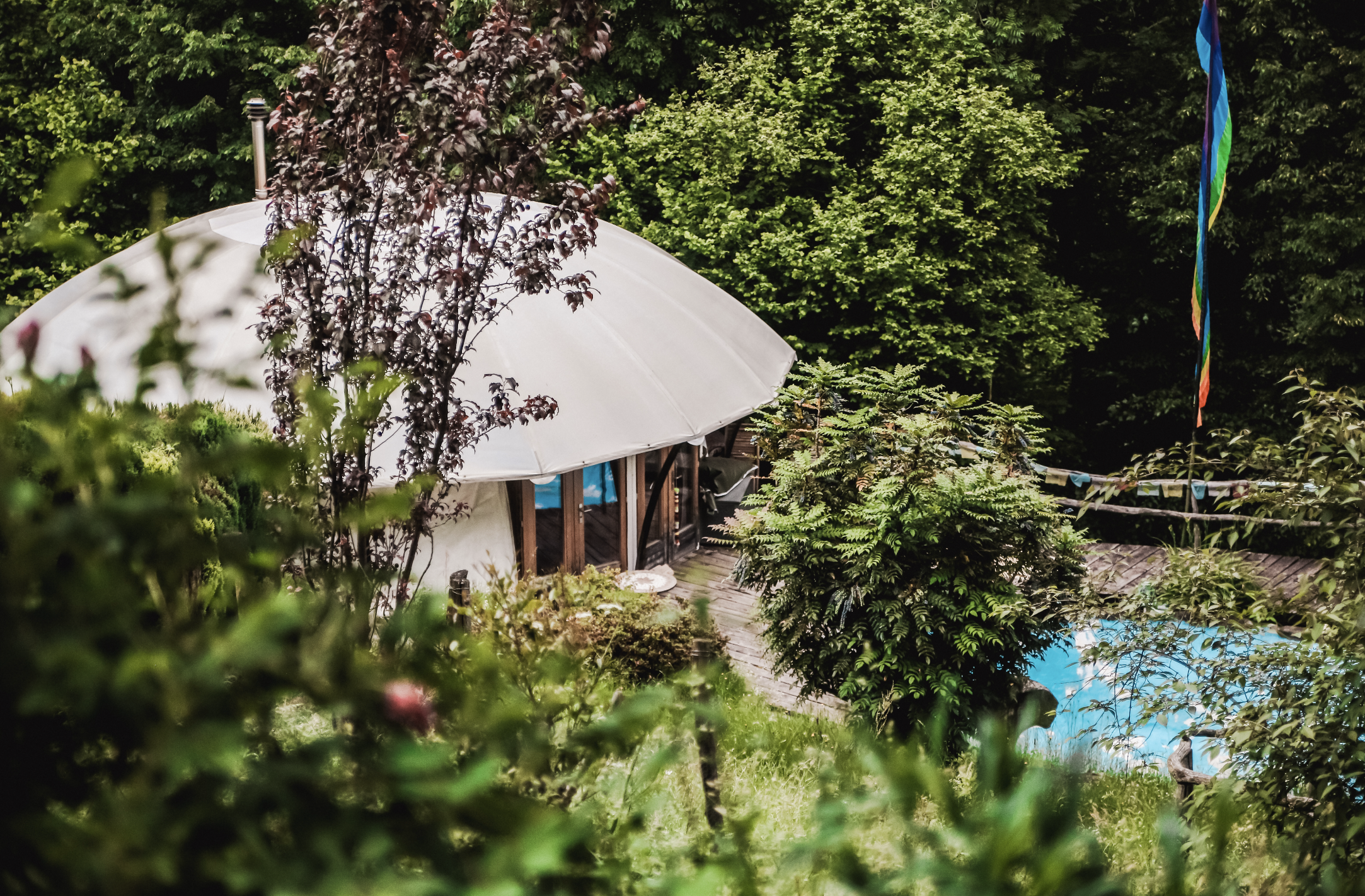 Yoga in the Wild- Eco Yoga Retreat in Ticino