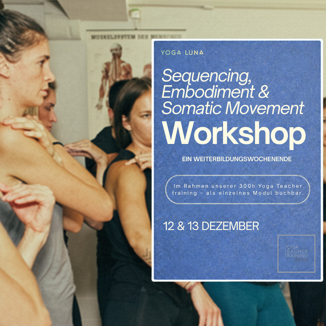 Sequencing, Embodiment &amp; Somatic Movement: Ein Weiterbildungswochenende