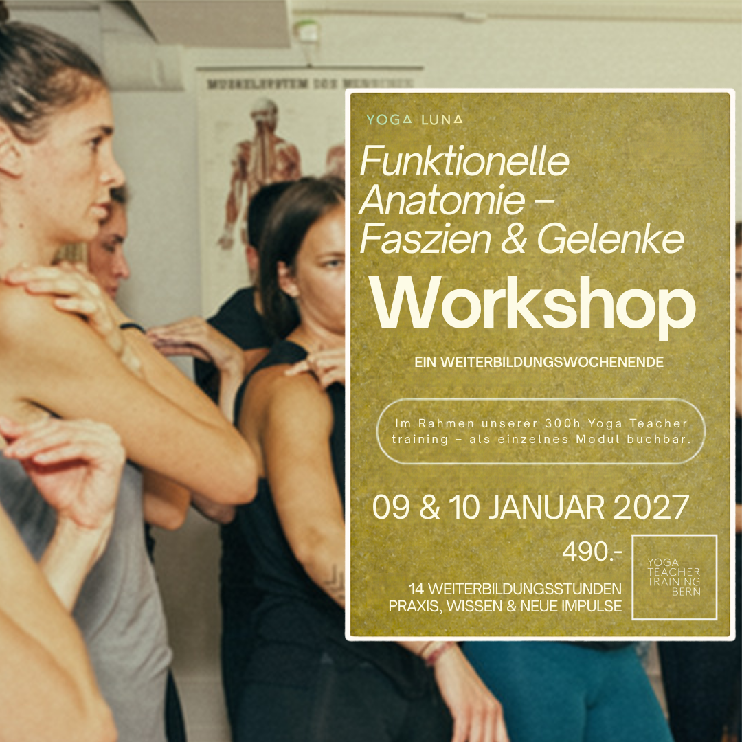 Funktionelle Anatomie, Faszien &amp; Gelenke