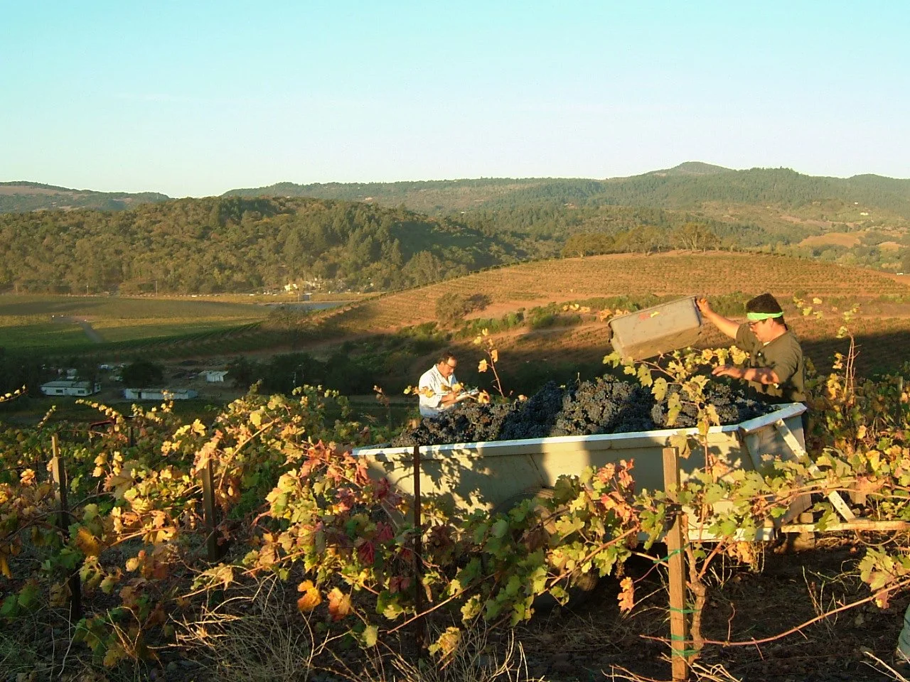 Sonoma 031.jpg