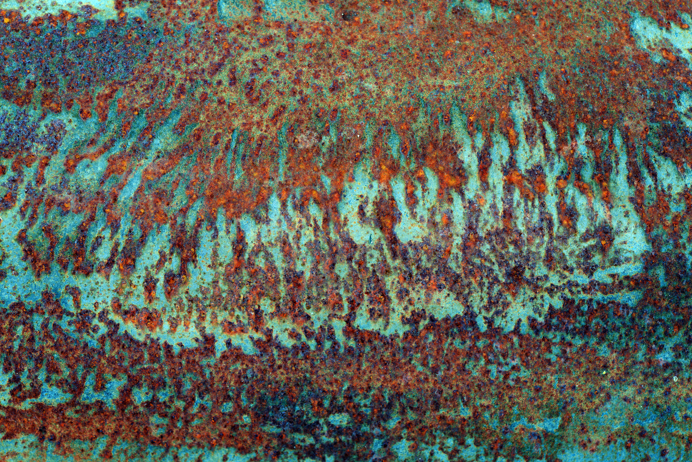 RUST_1511CM.jpg