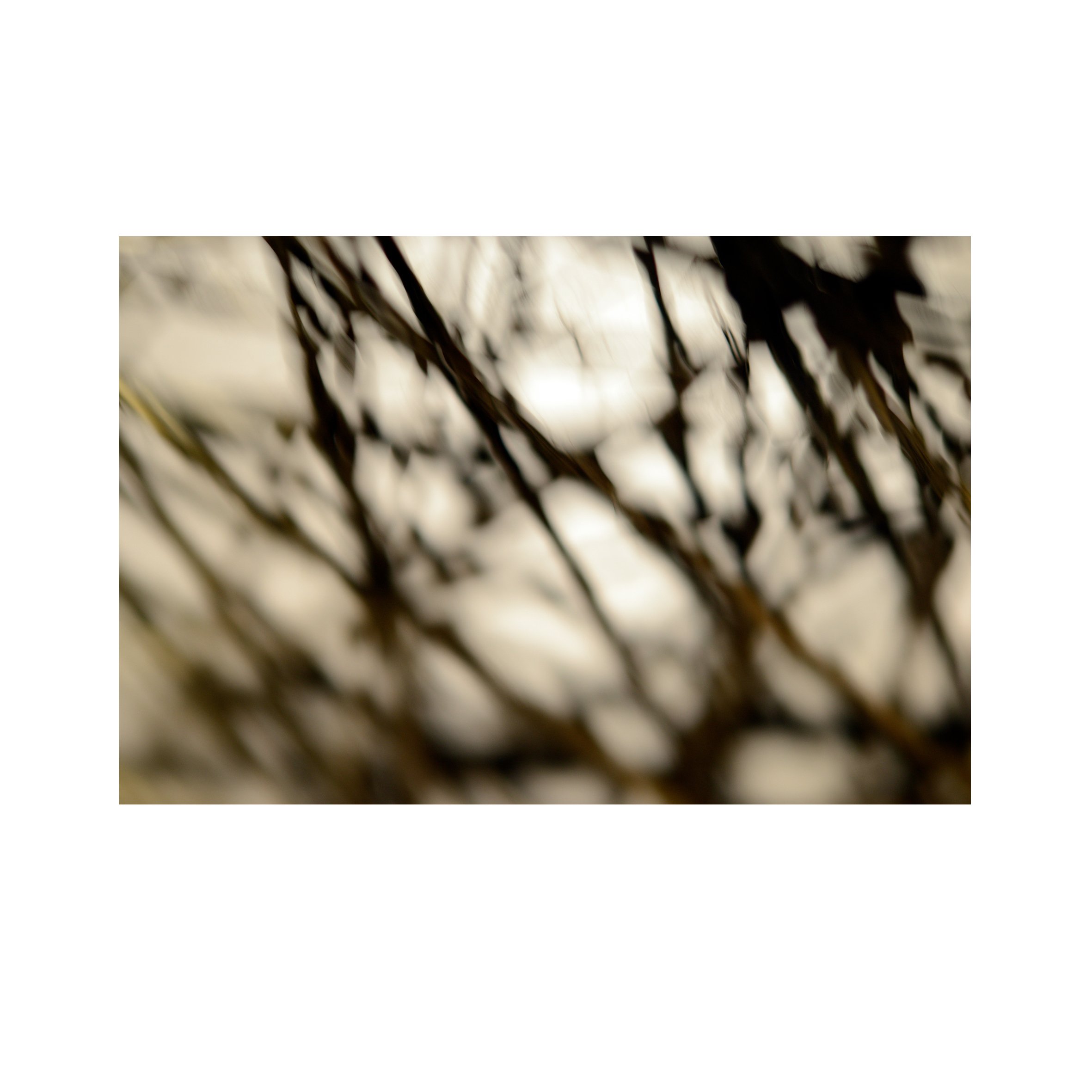 Web visions 20.jpg