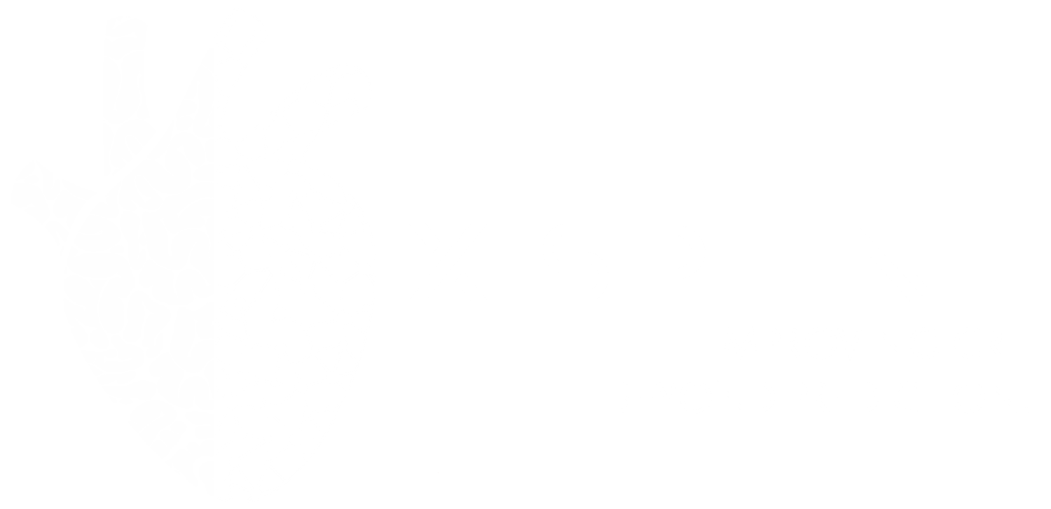 X|Spline