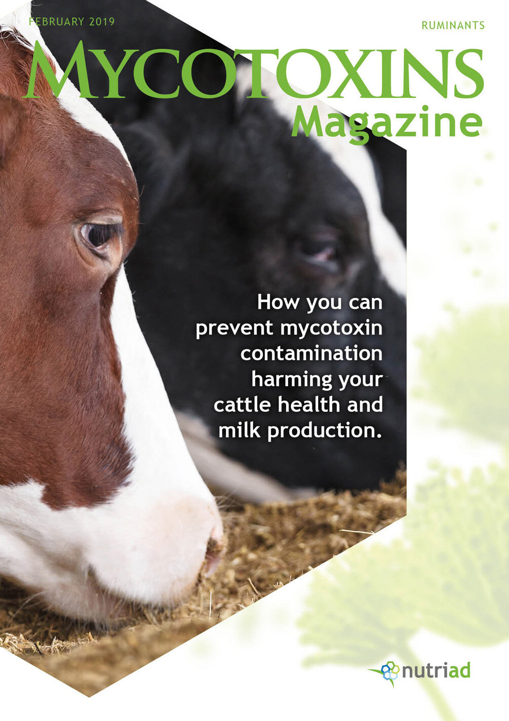 GRAFIMAX-bedrijfsmagazines-Agrimarketing-animal nutrition-01.jpg