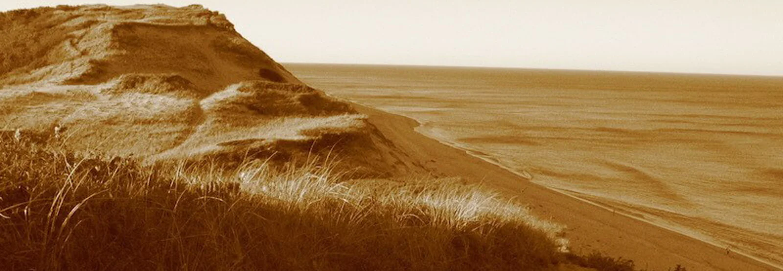 Stand Up Paddling Cape Cod