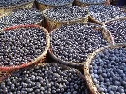 ACAI