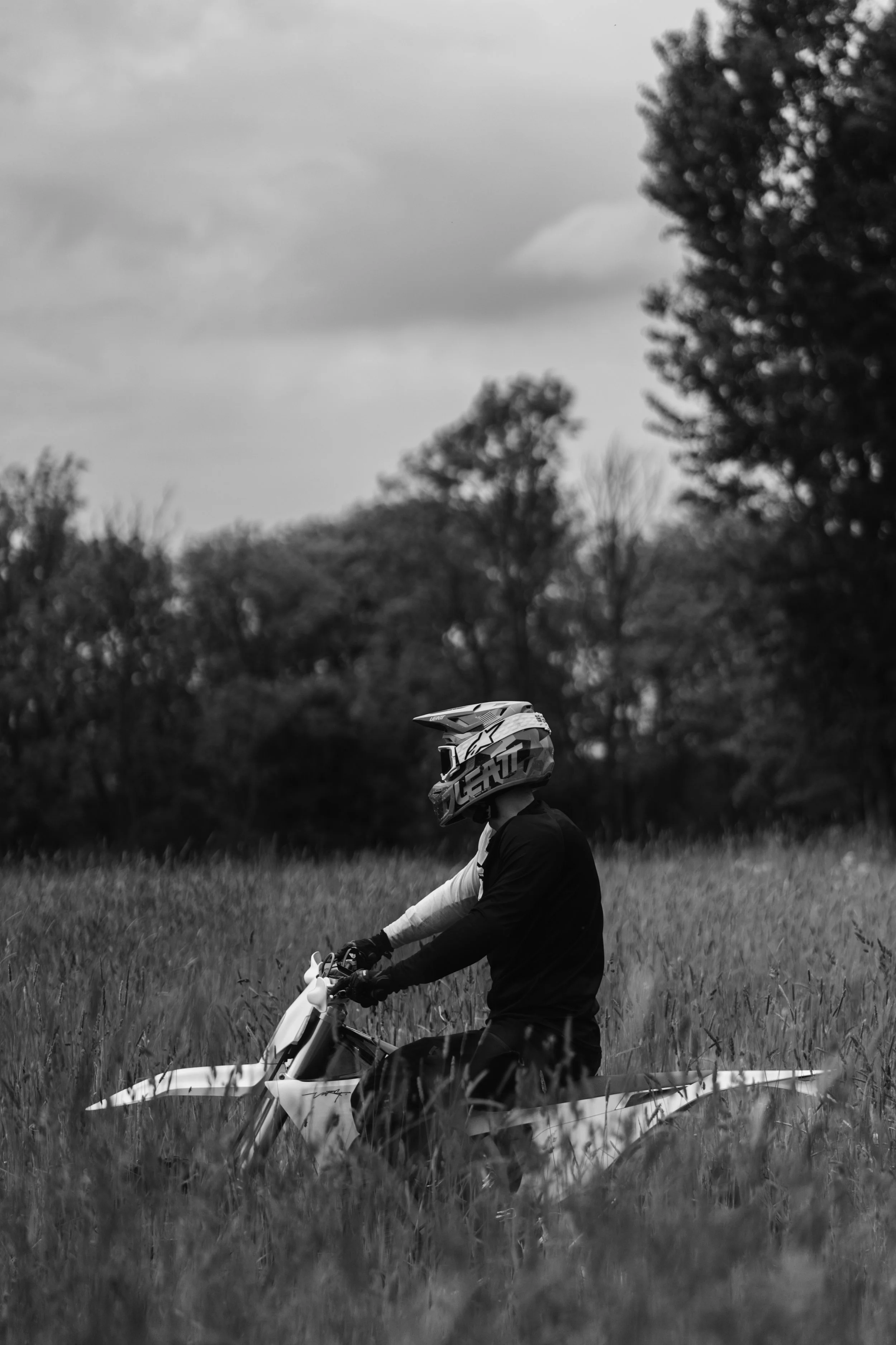 Stark Varg EX-45.jpg