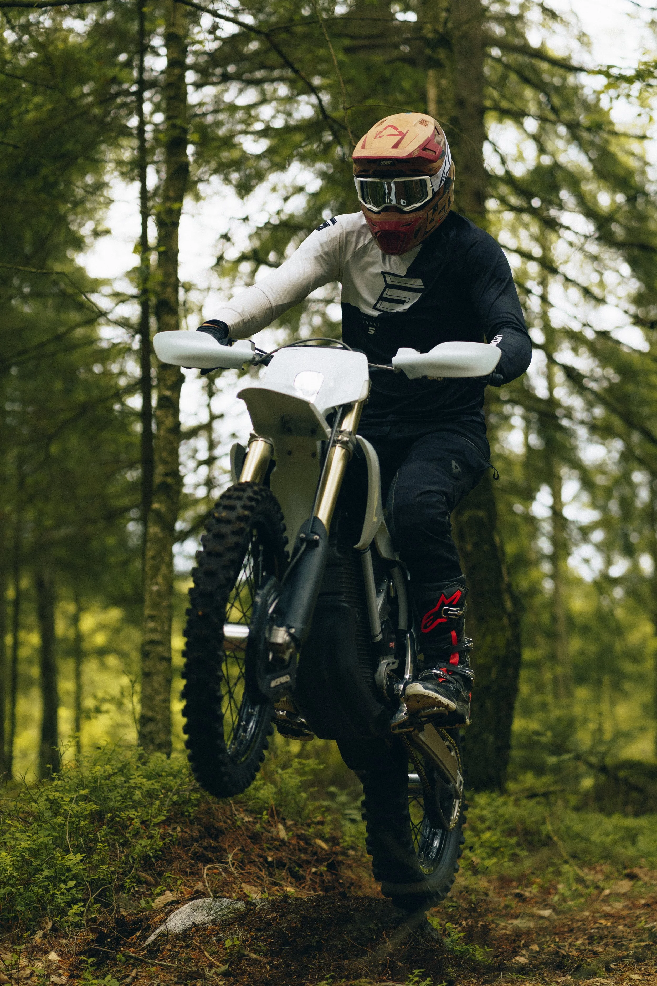 Stark Varg EX-16.jpg