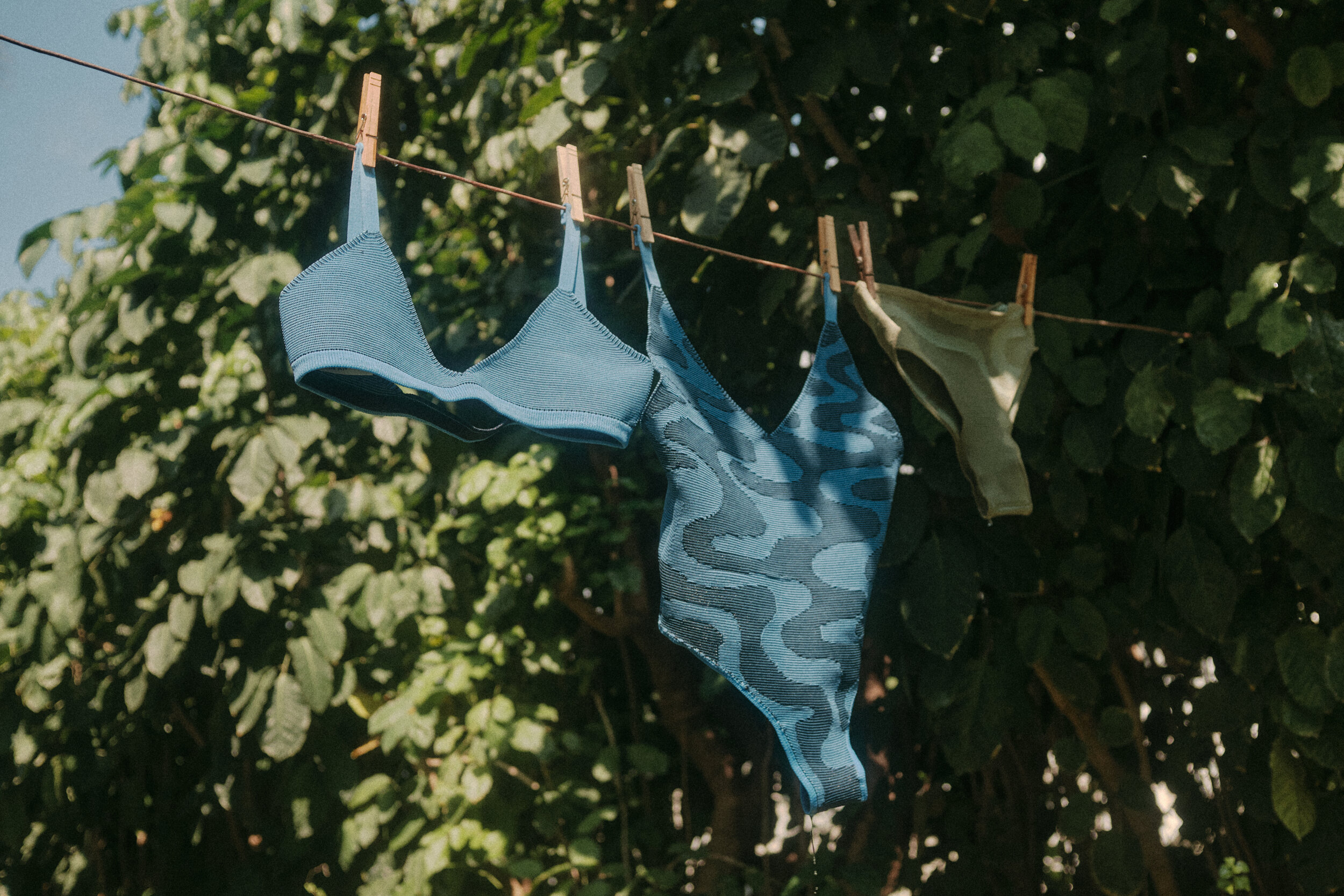 Blue patterned underwear and a beige piece of cloth hanging on a clothesline with clothespins, surrounded by green leaves.