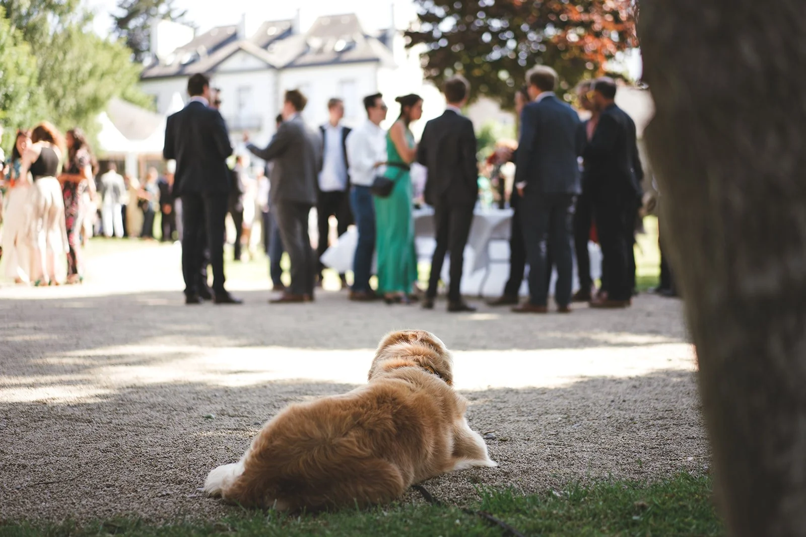 Margaux & Max-386_websize.jpg