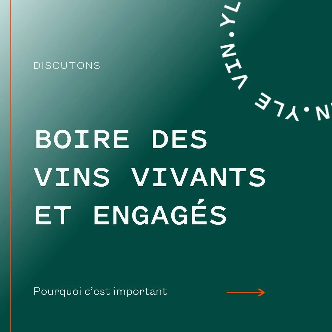 Dans la cave de VIN.YLE 🍷 

Il est important pour moi de vous partager ma mani&egrave;re de s&eacute;lectionner les vins que je vous fait d&eacute;guster et l&rsquo;engagement qui se cache derri&egrave;re ma mani&egrave;re de vous former au vin.

Si
