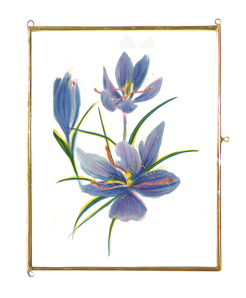 8_Bloem_1_krokus_lijst.jpg