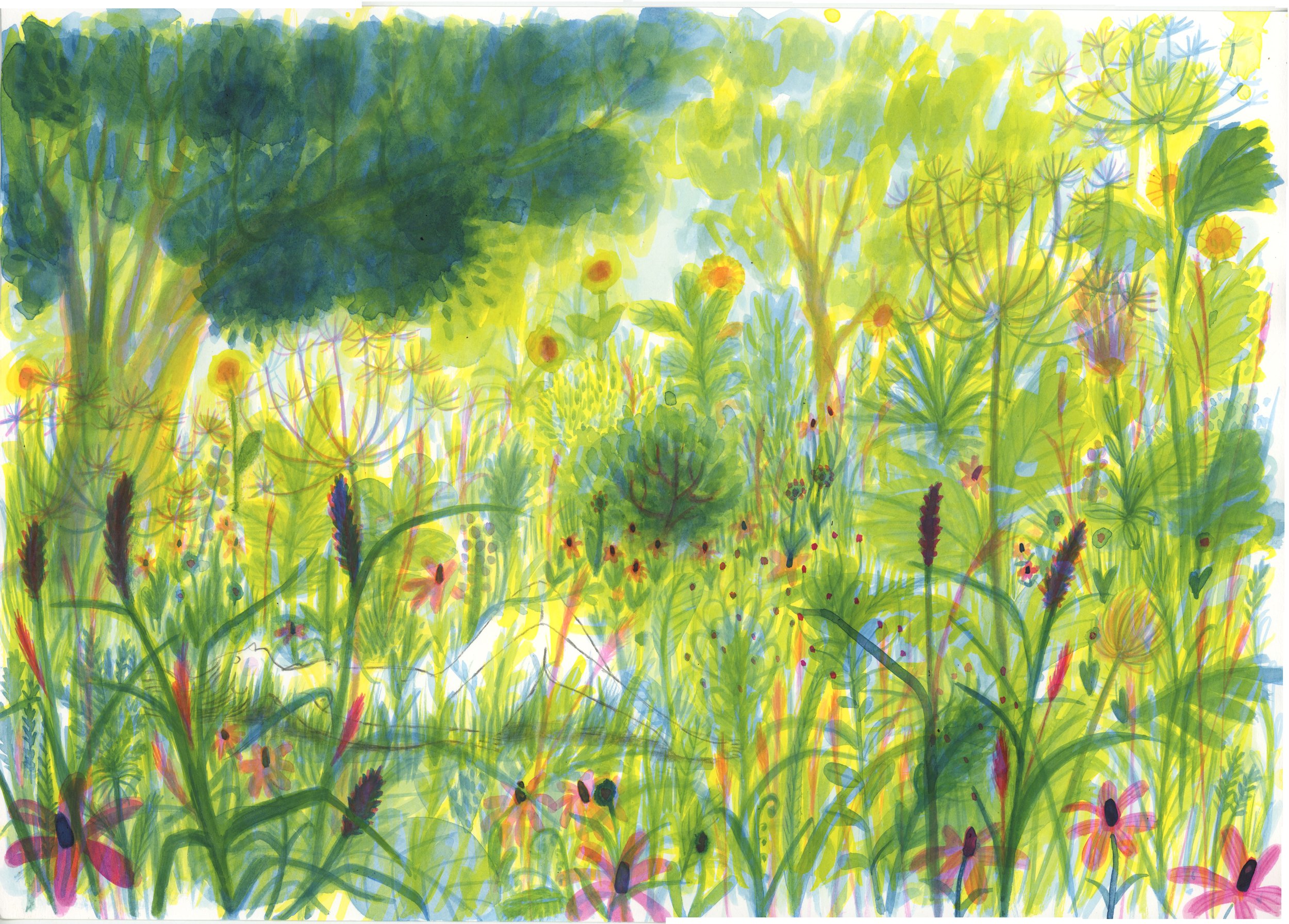 Vrij werk, inkt en potlood