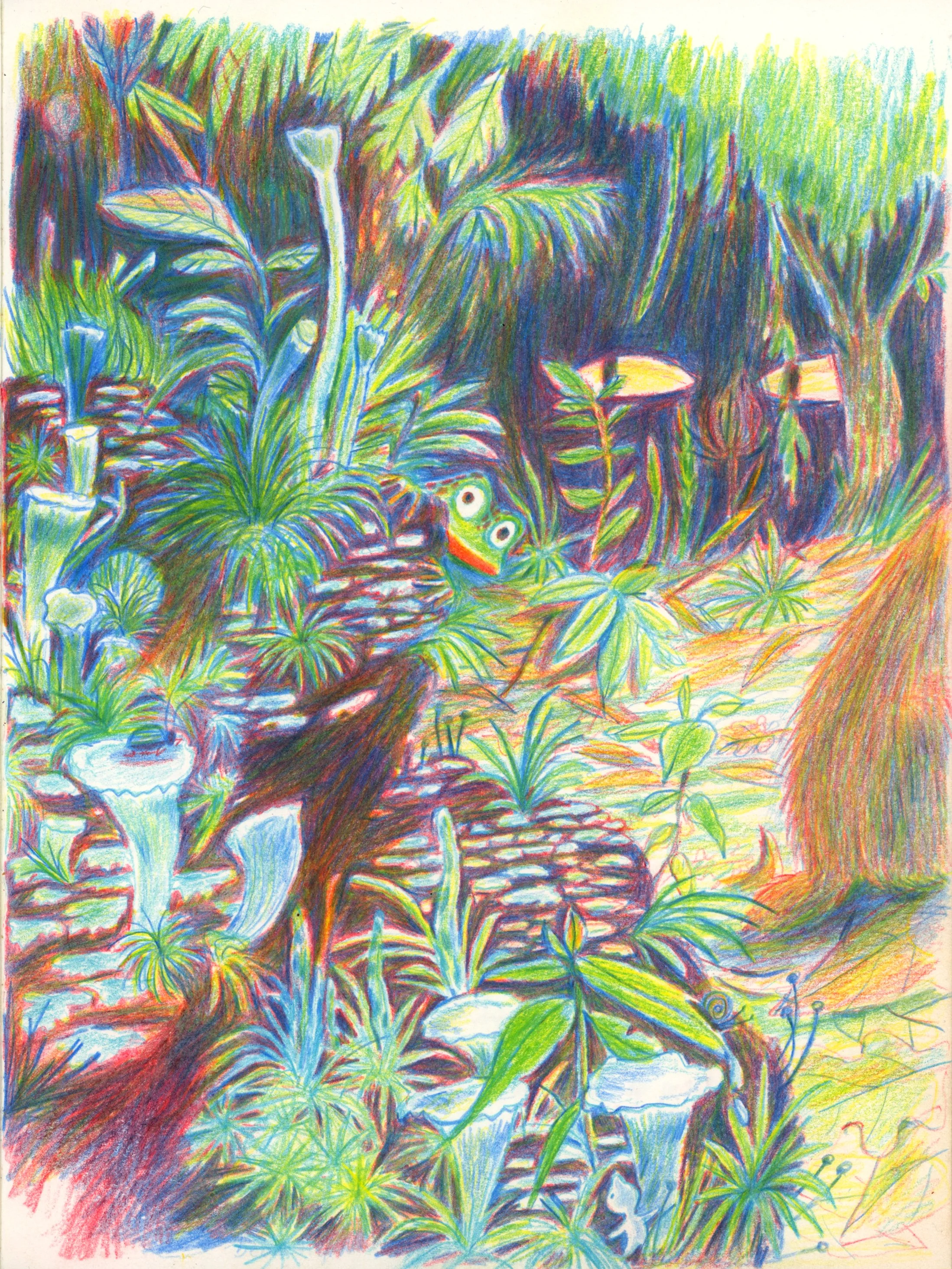 Vrij werk, 3 kleuren potlood 