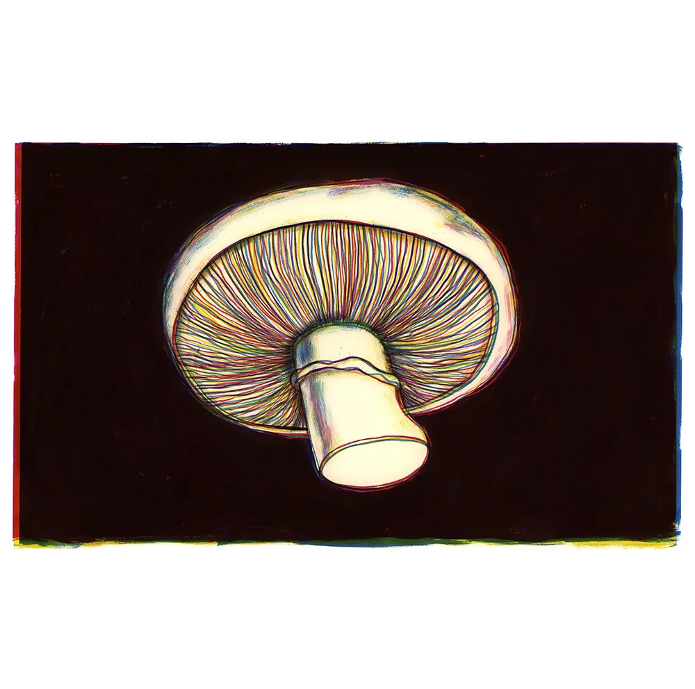 Champignon, illustratie uit van Honingbij tot Hagelslag - 3 kleuren inkt 