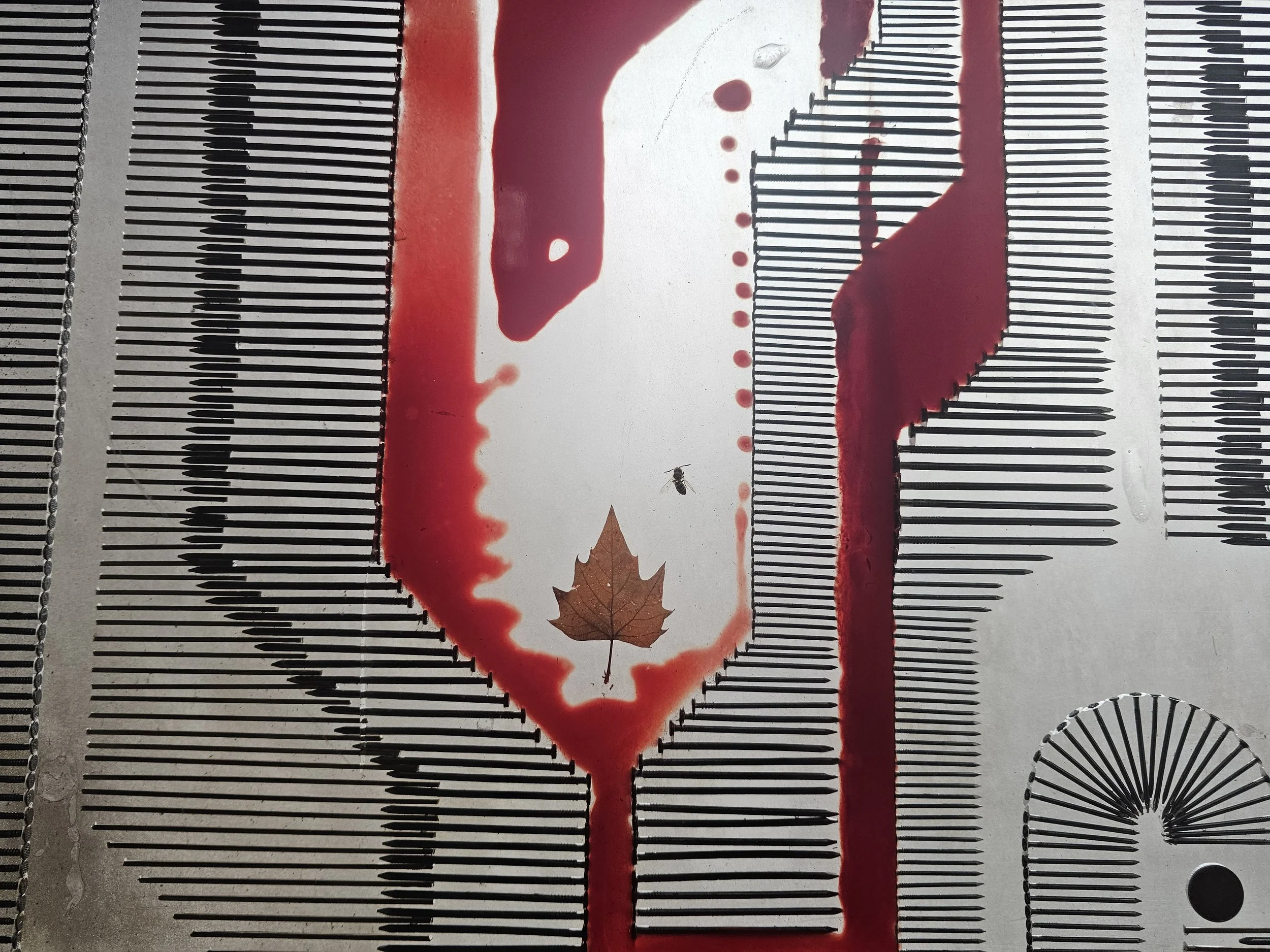 Podiumsdiskussion zur Zukunft der Religionsphilosophie