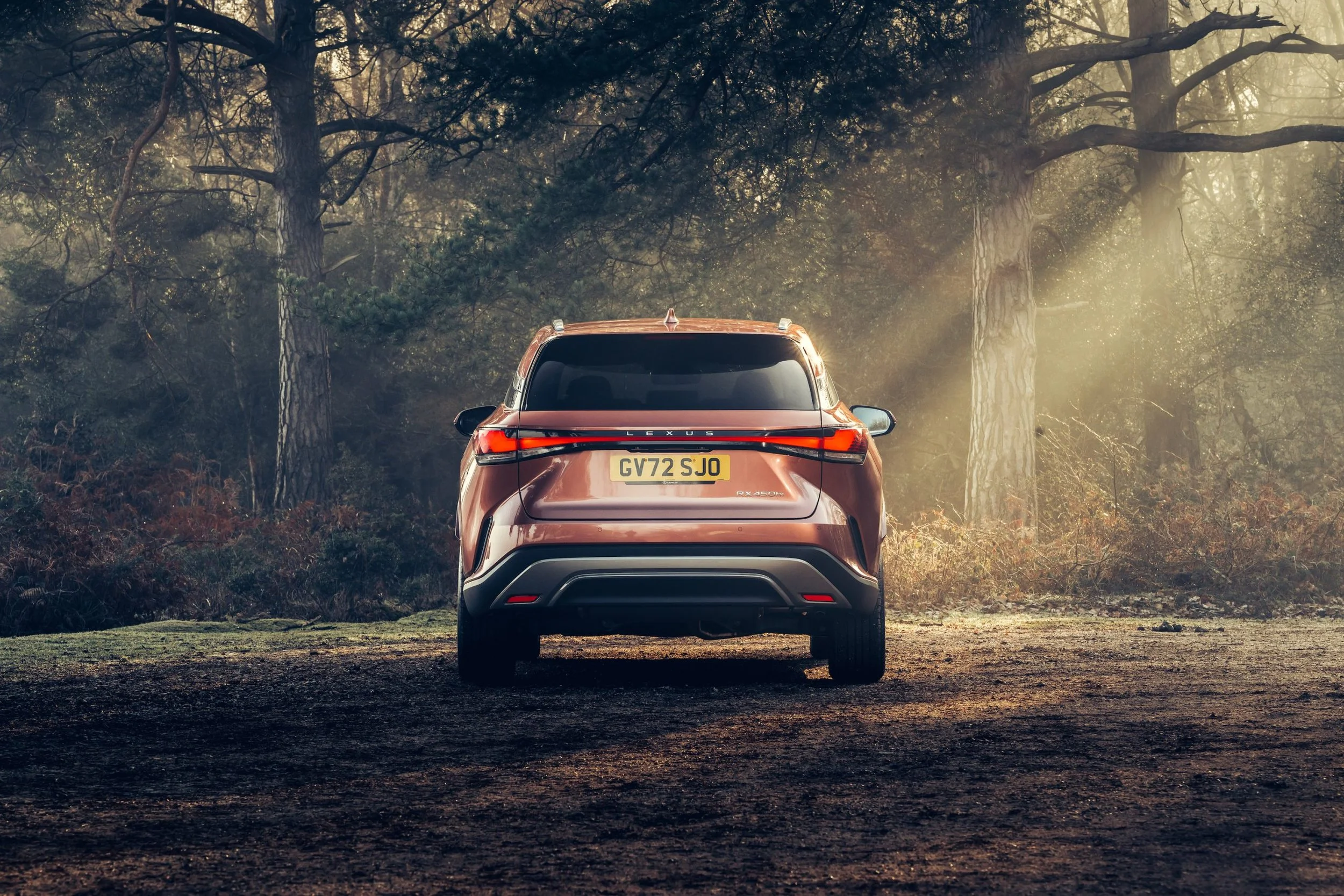 Lexus RX 450h - The Plush Plug-in — Driven